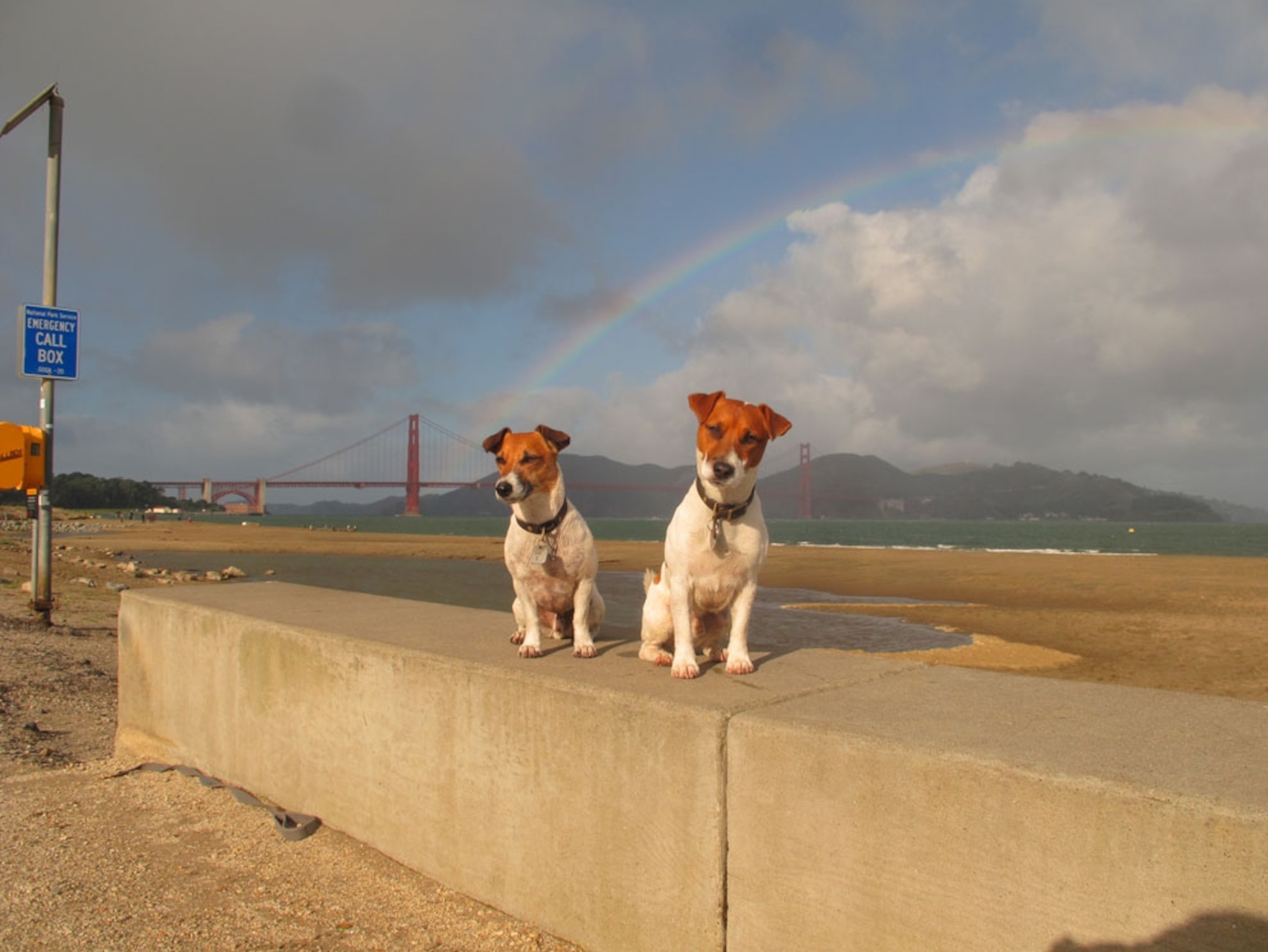 Crissy Field is one of the golden Gate National Recreation Areas