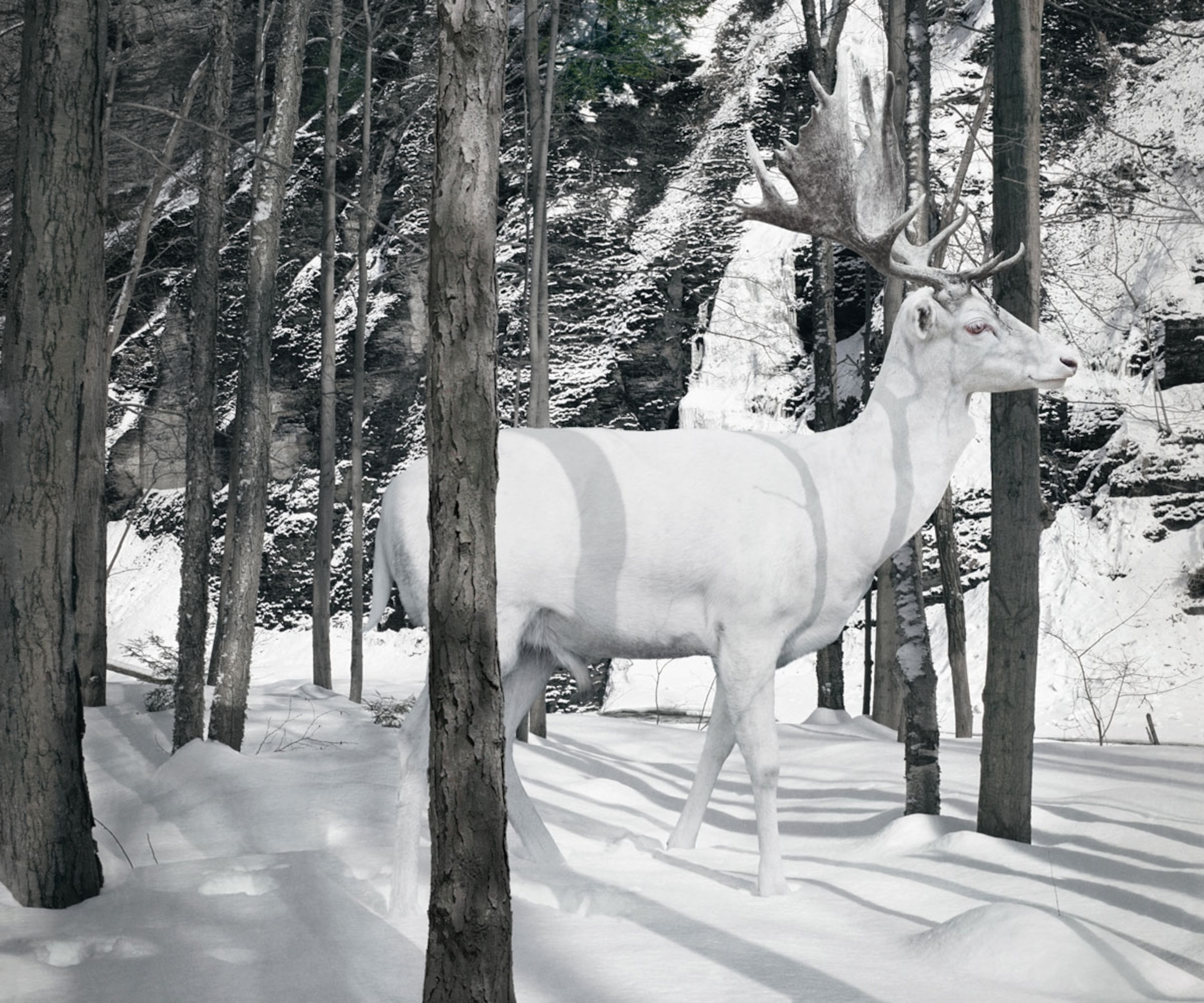 a constructed image of a white deer walking through the snowy woods
