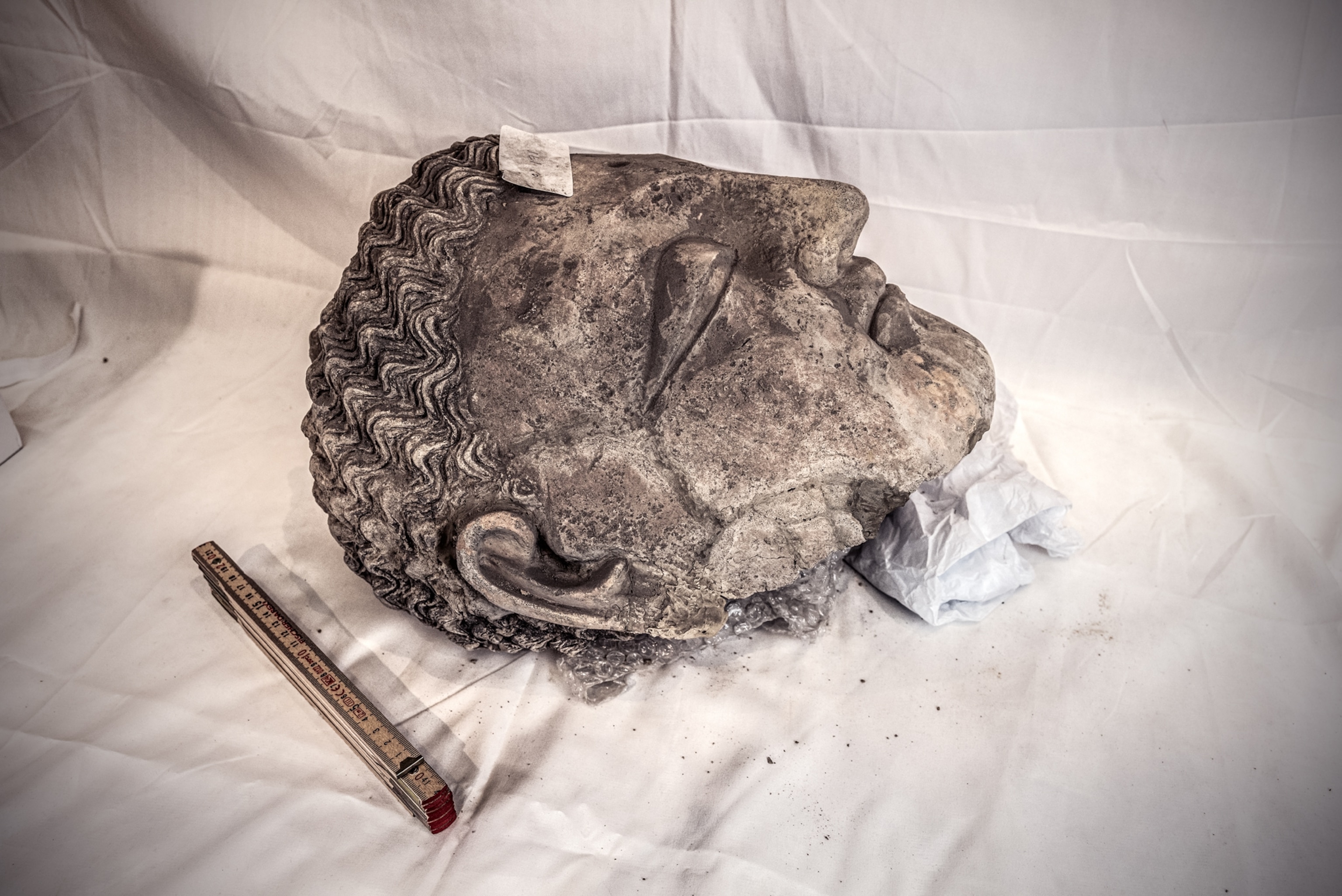 A statue head on a fabric backdrop