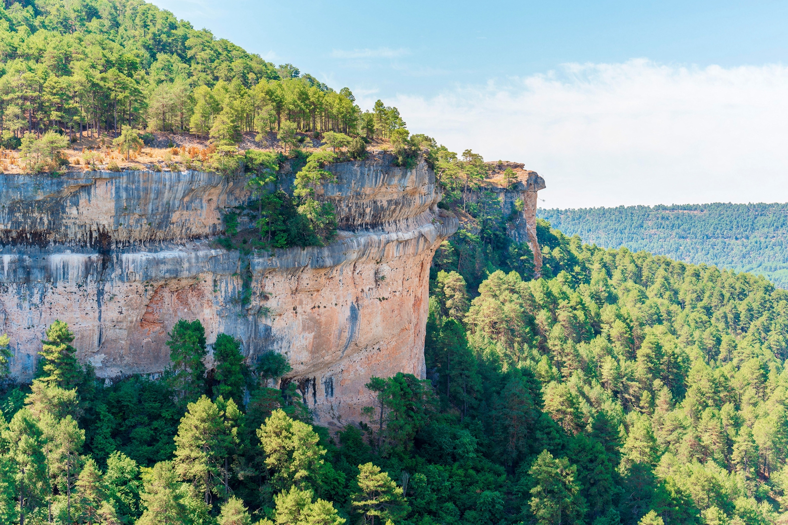 An aerial view onto a cliff in the middle of a forested national park.