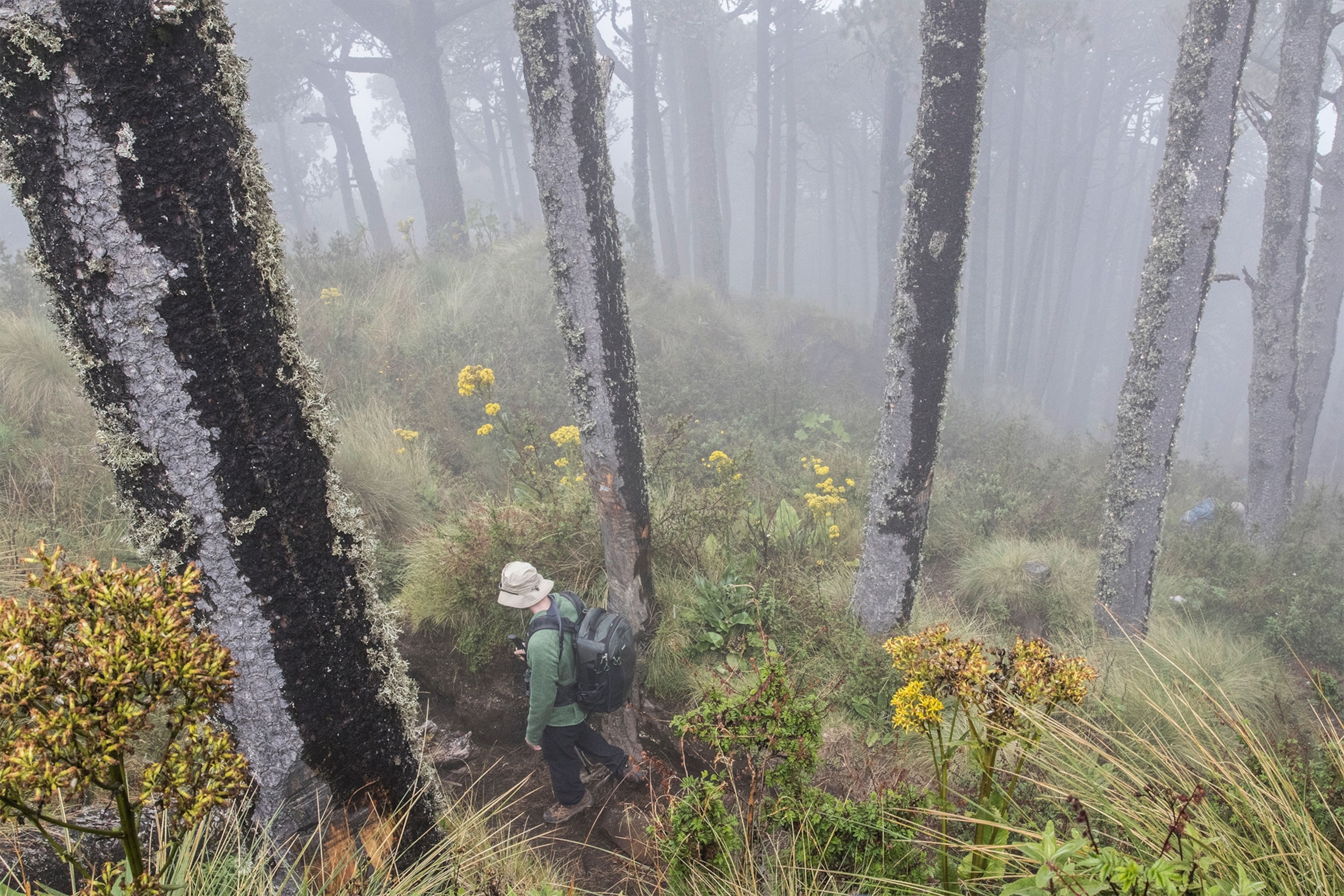 an expedition team member hiking near the summit of the Santa Maria volcano