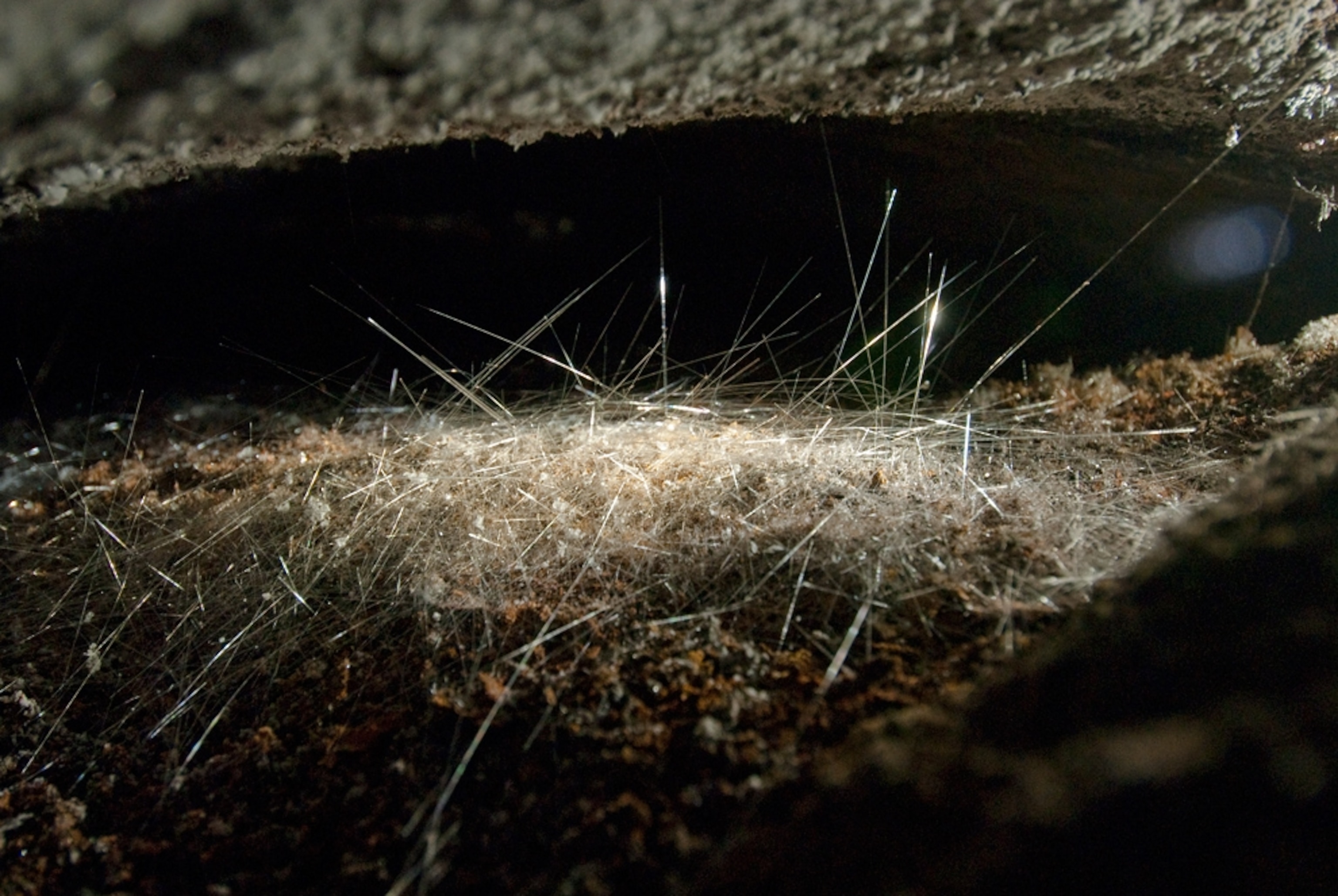 Picture of crystals in Mexico's Ice Palace cave