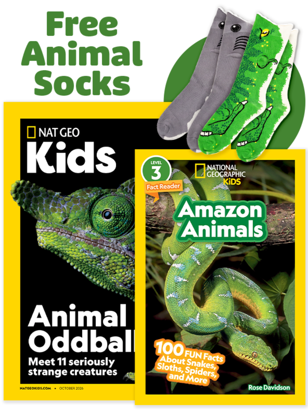 NationalGeographic Kidsレベル1/2/3 まとめ19冊 National Geographic Kids Magazine Subscriptions | National Geographic