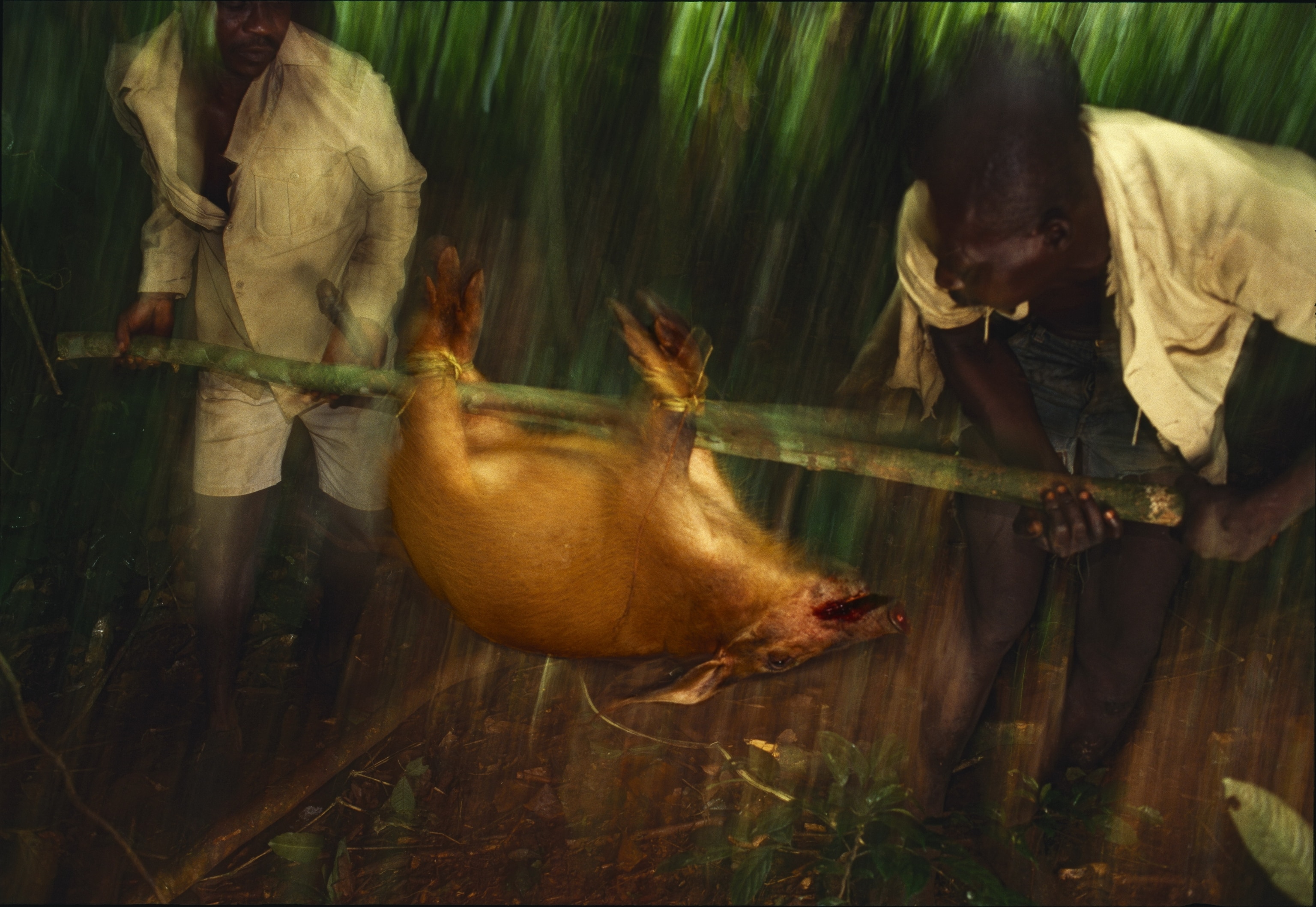 hunters in Cameroon