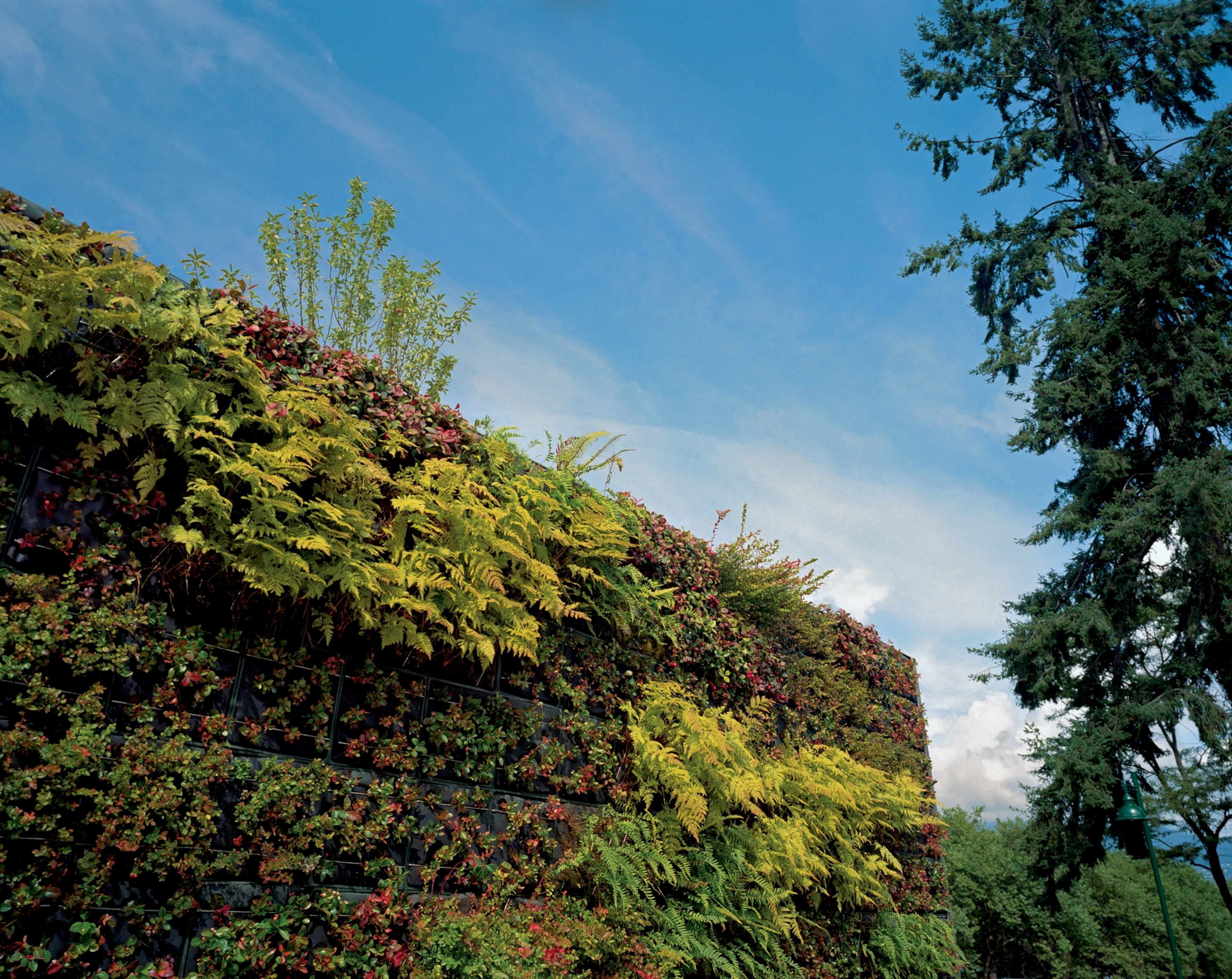 the Vancouver Aquarium's Living Wall