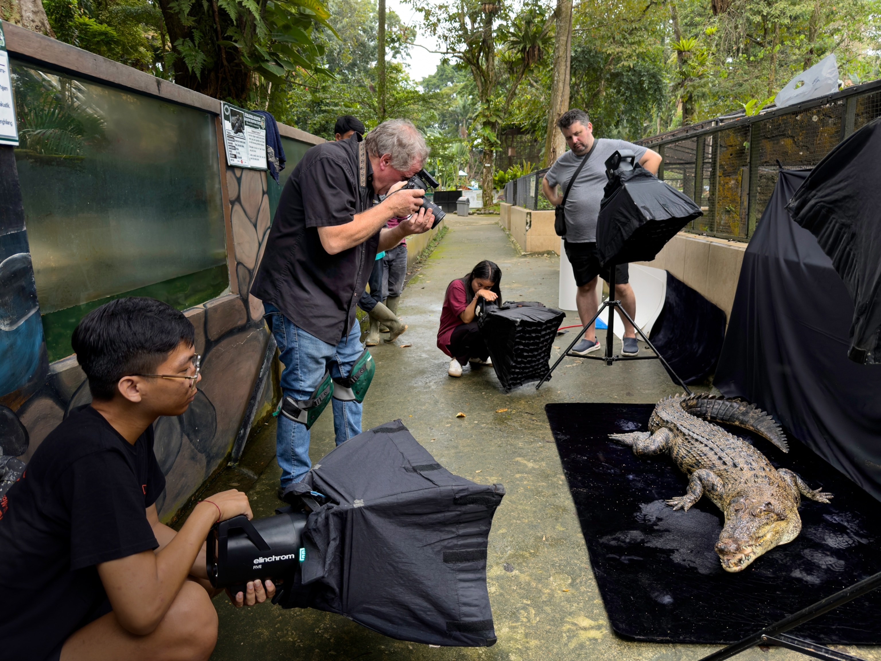 A crocodile lays on a black sheet as a man stands photographing it. Several other people surround the crocodile holding black light boxes.