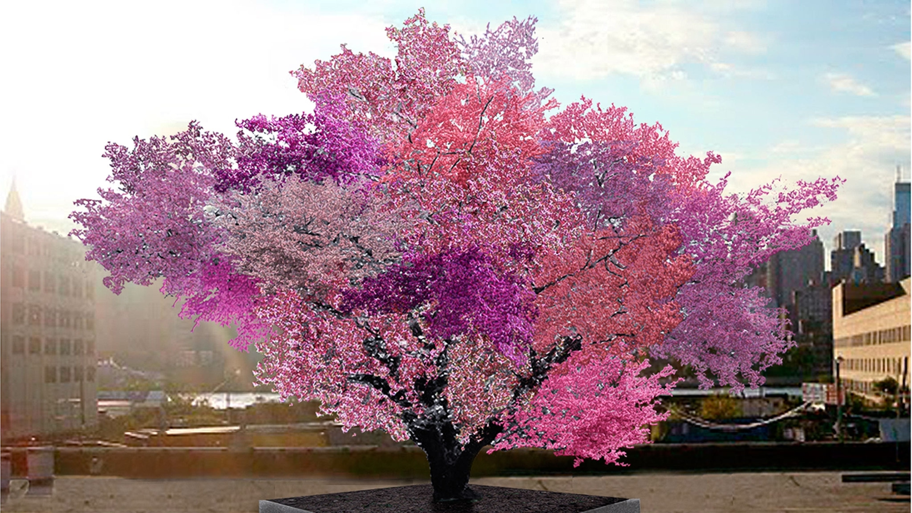 「果物の輪」 アドリアーン・バン・ユトレヒト 1640年 What a 'Tree of 40 Fruit' Tells Us About Agricultural Evolution