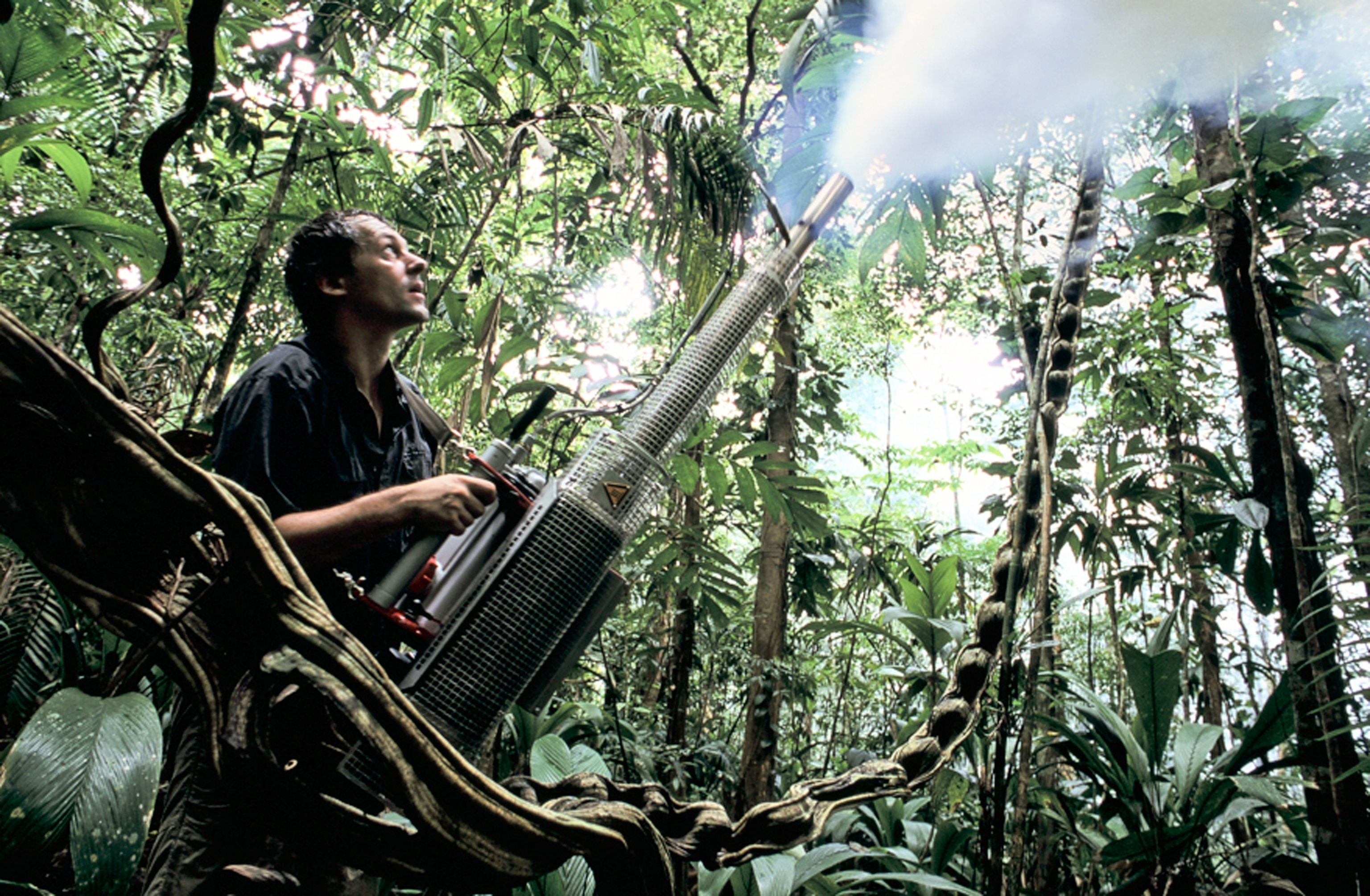 Panama insect picture: a scientist using a fogger to capture insects
