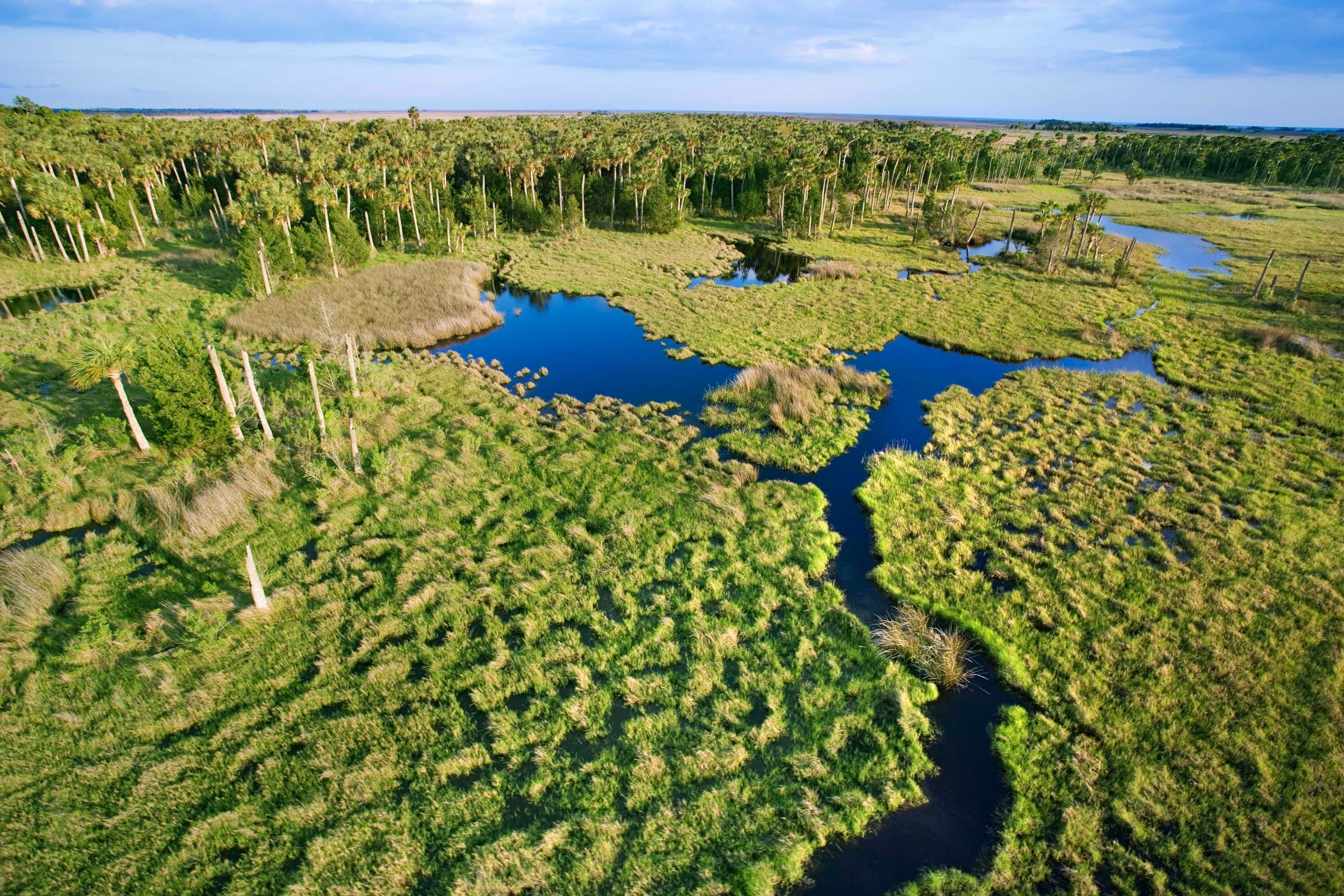 Everglades National Park, Florida