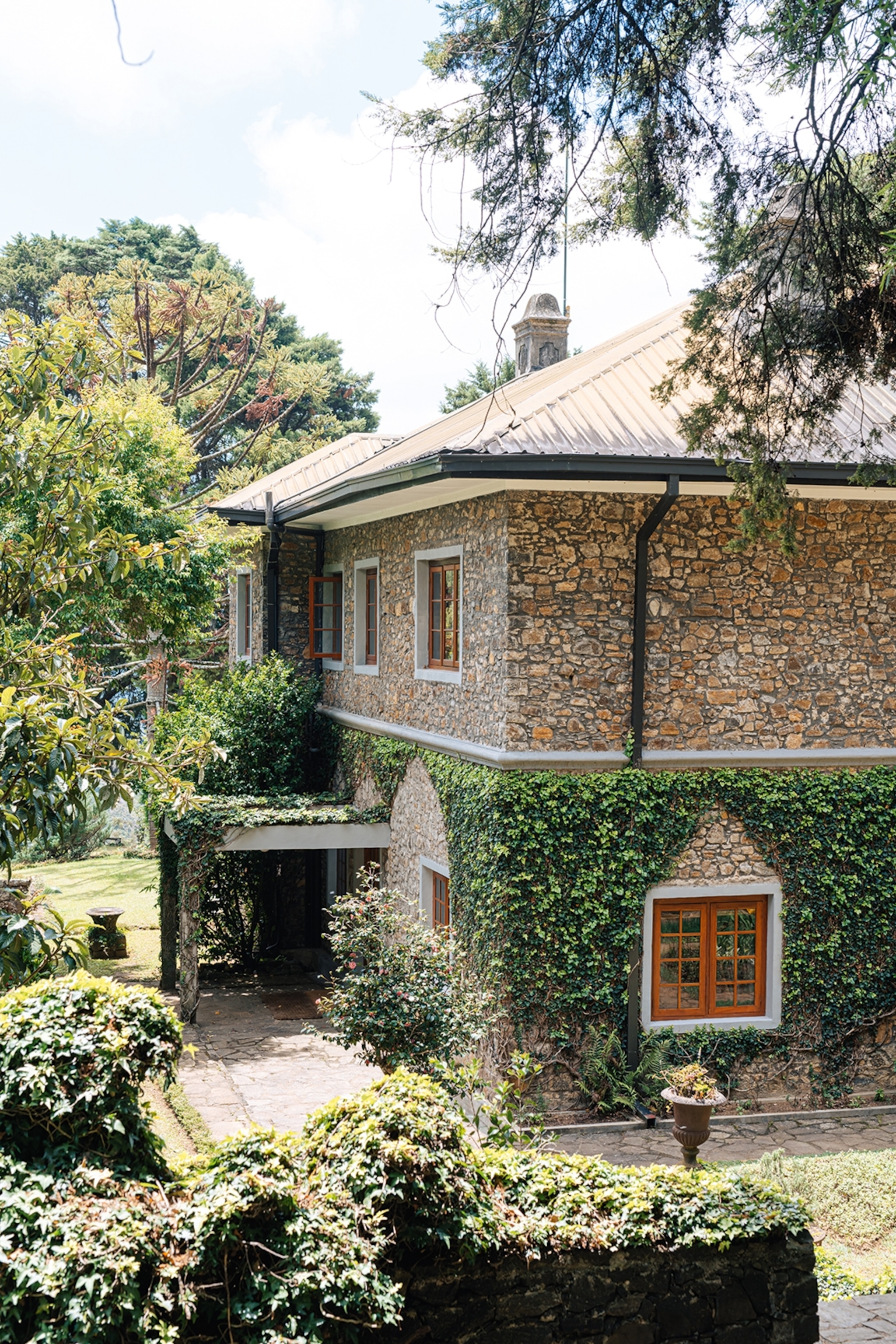 An elevated view onto a British-style estate with ivy climbing up the lower half of the house.