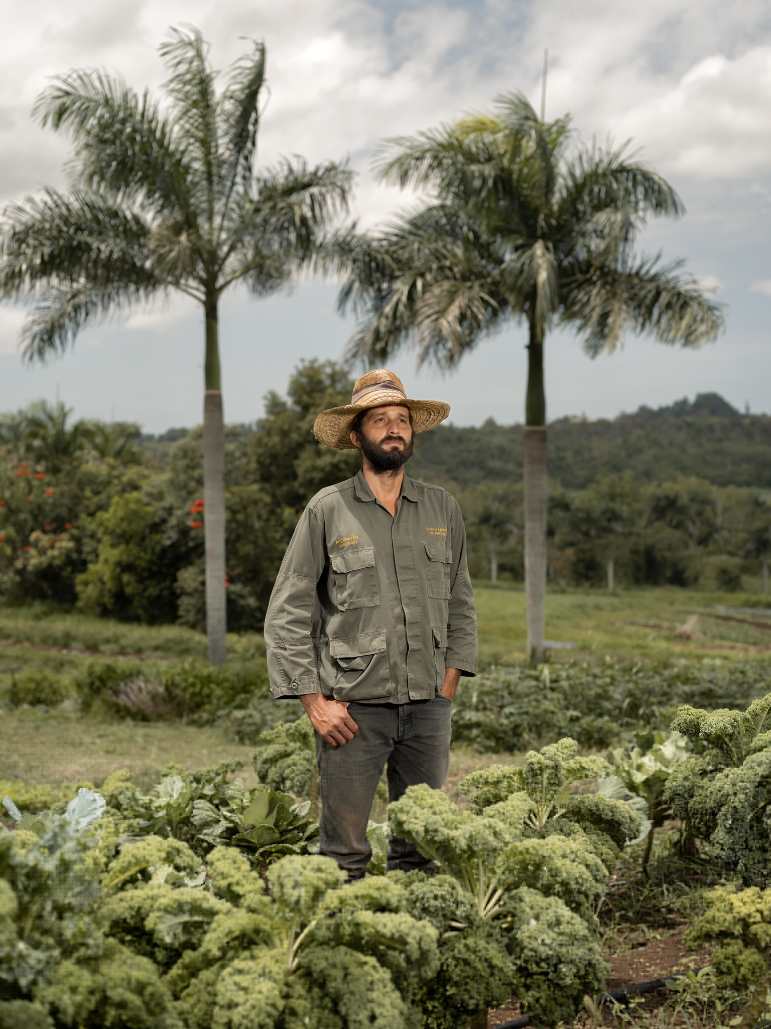 Man in straw hat on vegetable field.