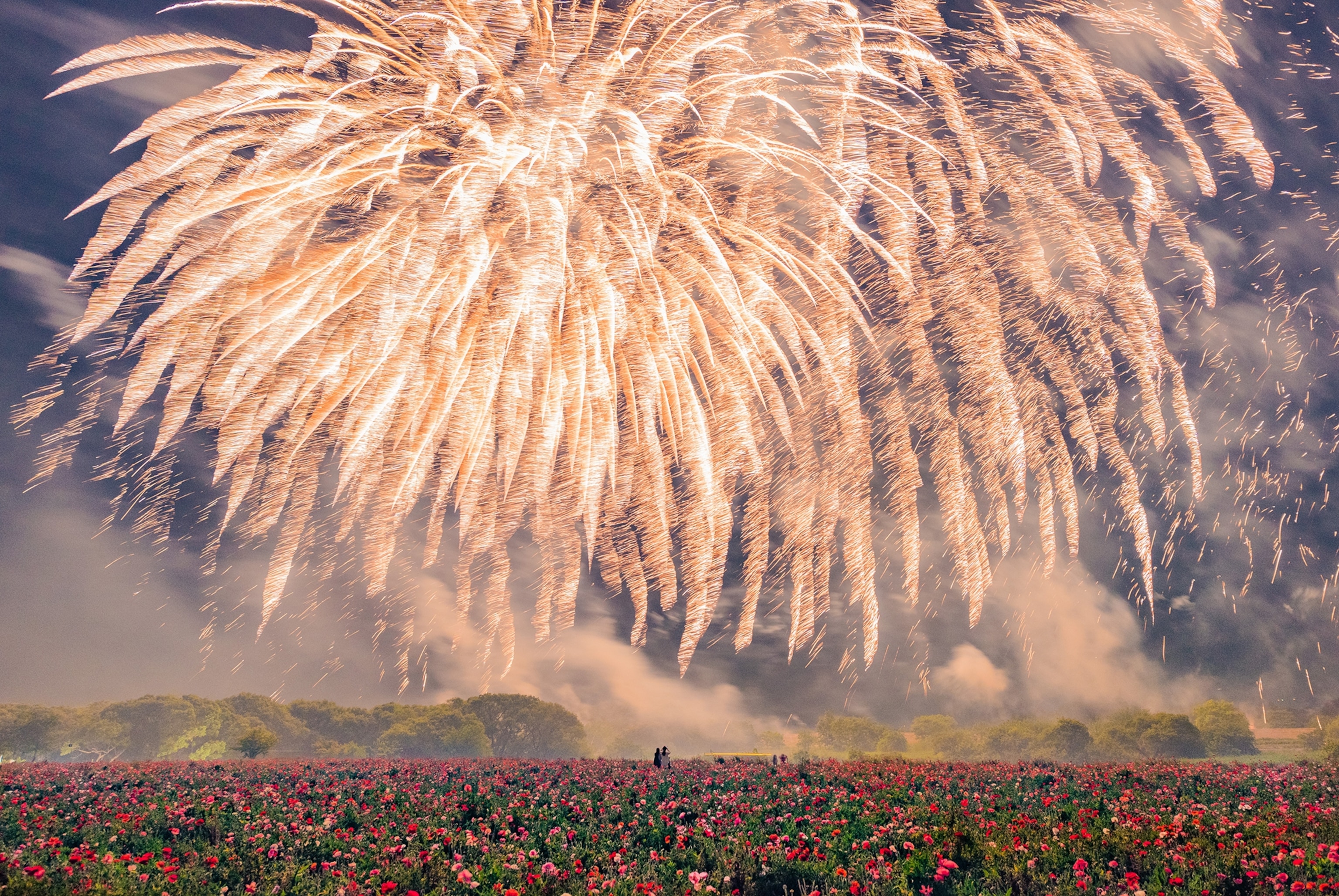 fireworks in Takasai, Ibaraki, Japan