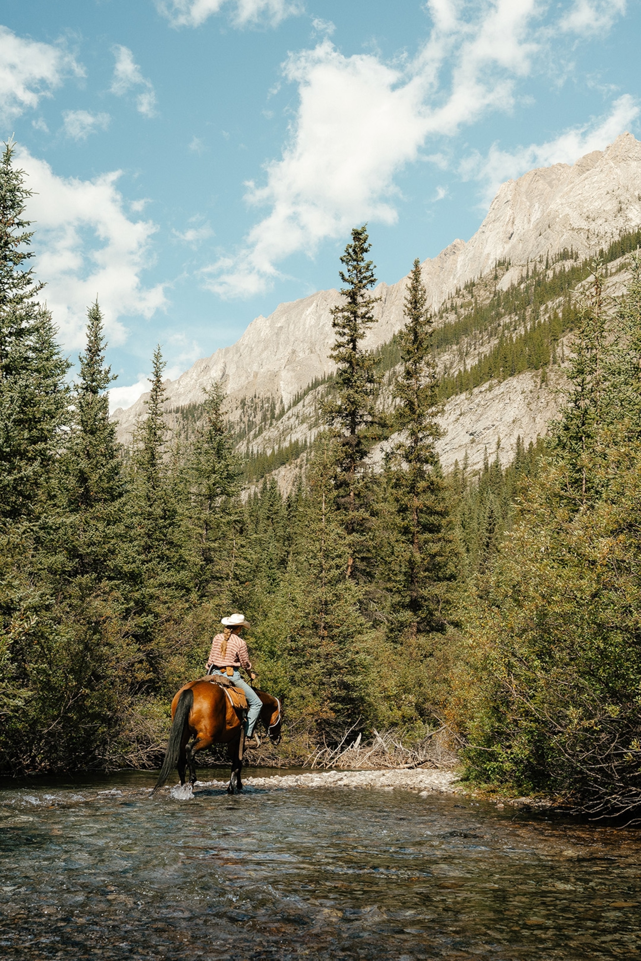 Trace the backcountry trails of Banff National Park on horseback | National  Geographic