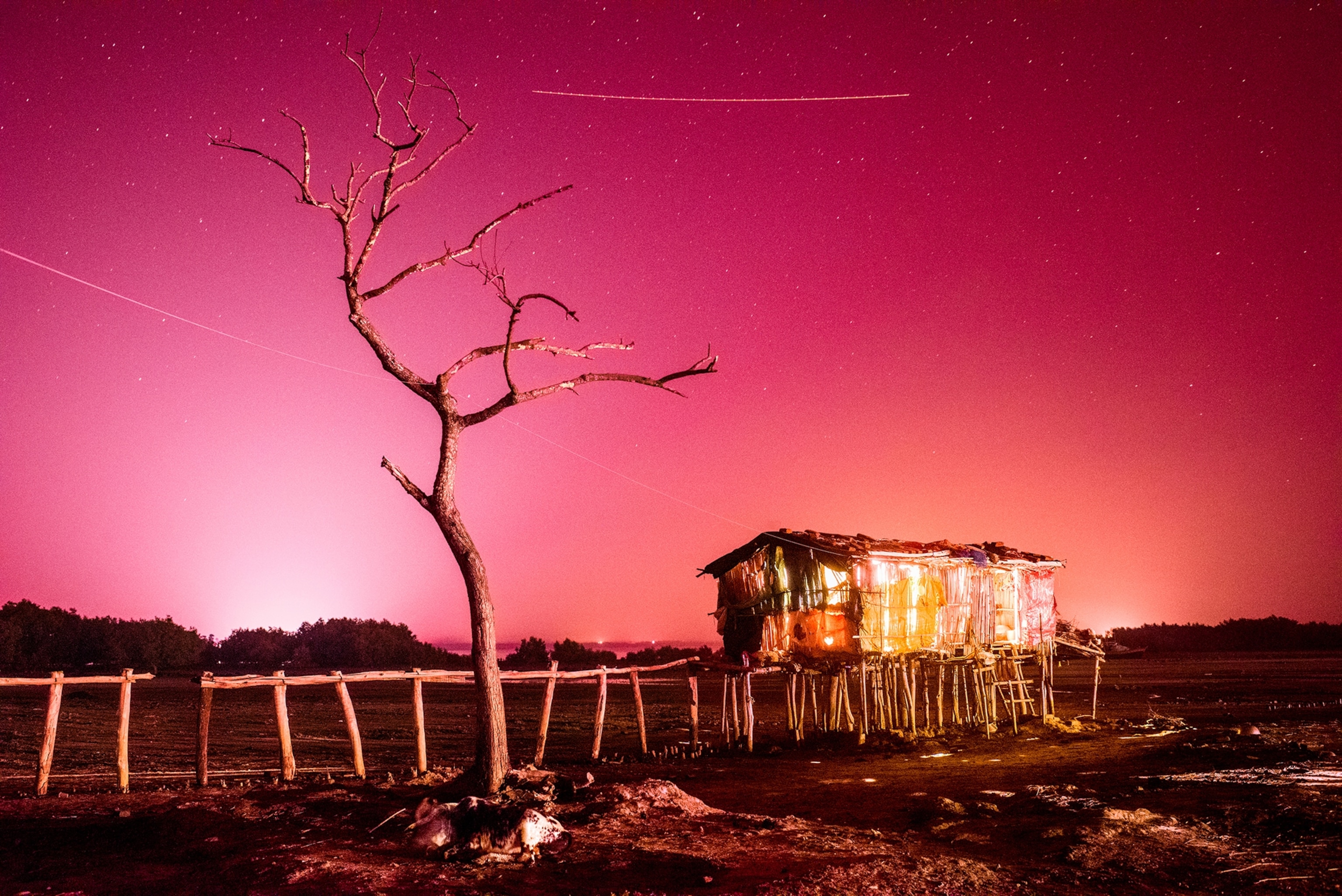 An abandoned and damaged home sits in a field next to a tree, with the sky glowing pink and orange behind it.