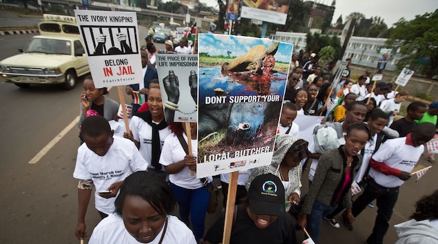 Demonstrators take part in the Global March for Elephants and Rhinos in Nairobi, Kenya, in October. Photograph by Ben Curtis, Associated Press