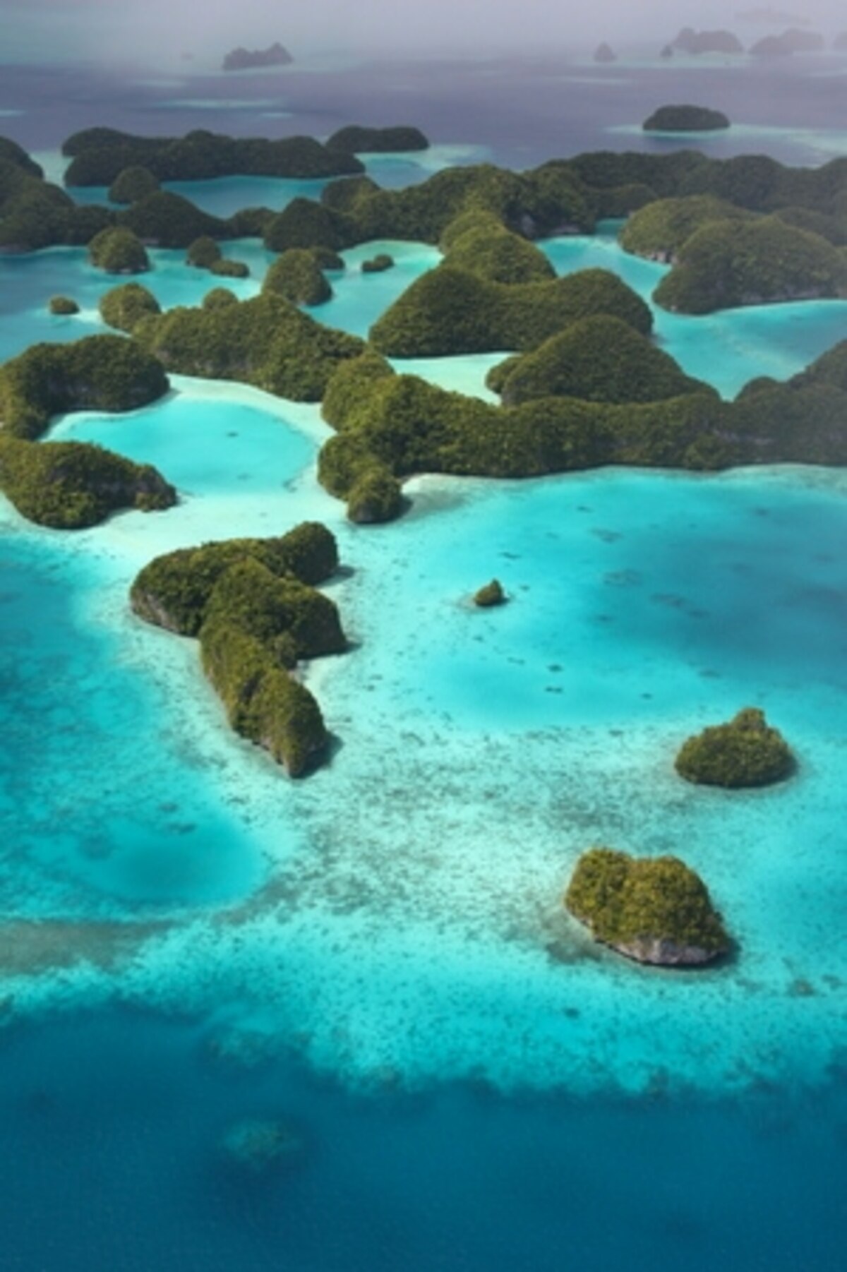 Family Diving in Palau Part 2