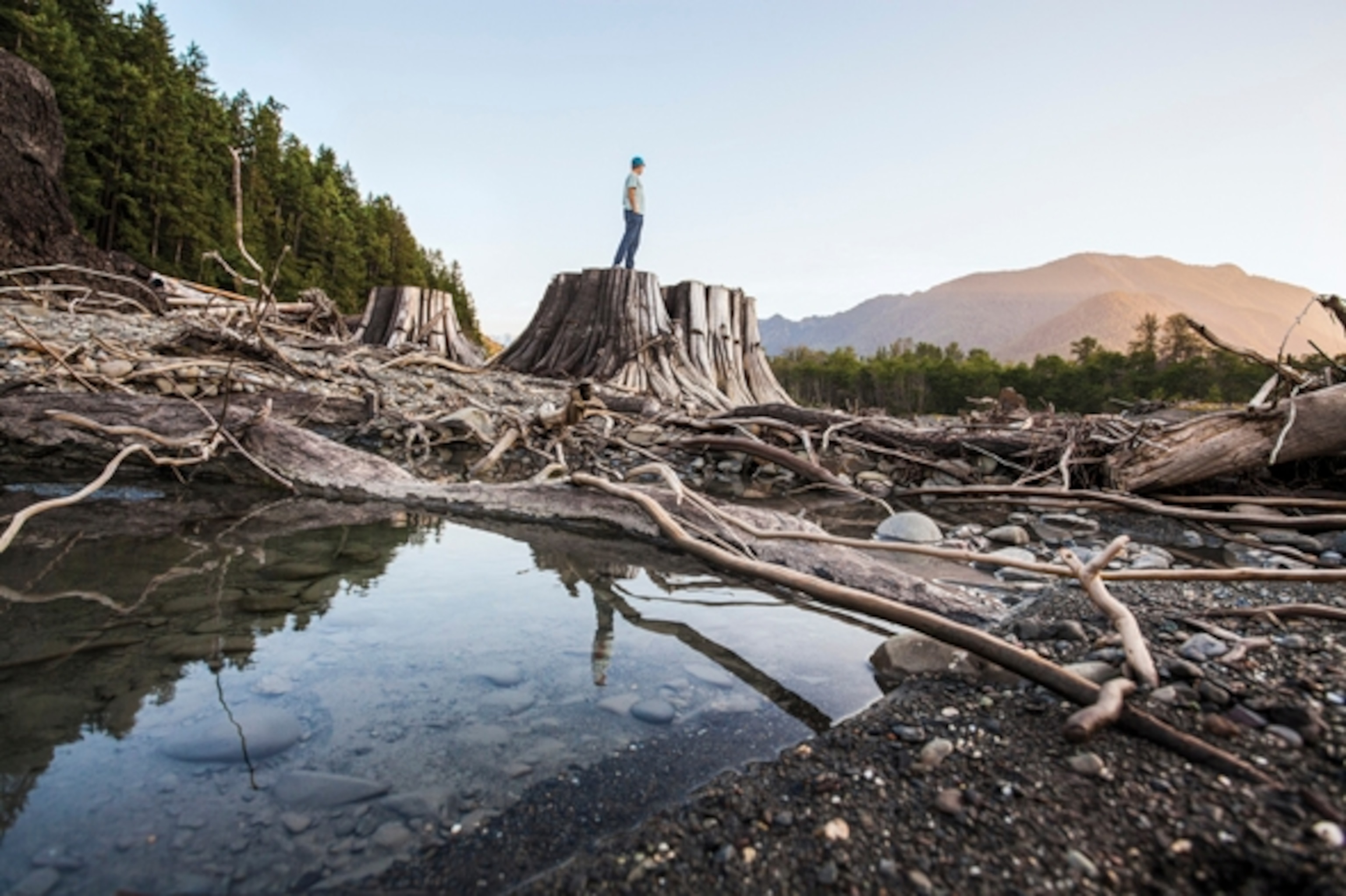 Travis Rummel stands on a beautifully preserved old growth cedar stump that was revealed after being submerged nearly a century under Washington's 'Lake' Aldwell. The Elwha River has now re-‐carved its course through the drained reservoir in a scene from DAMNATION. Photo: Ben Knight