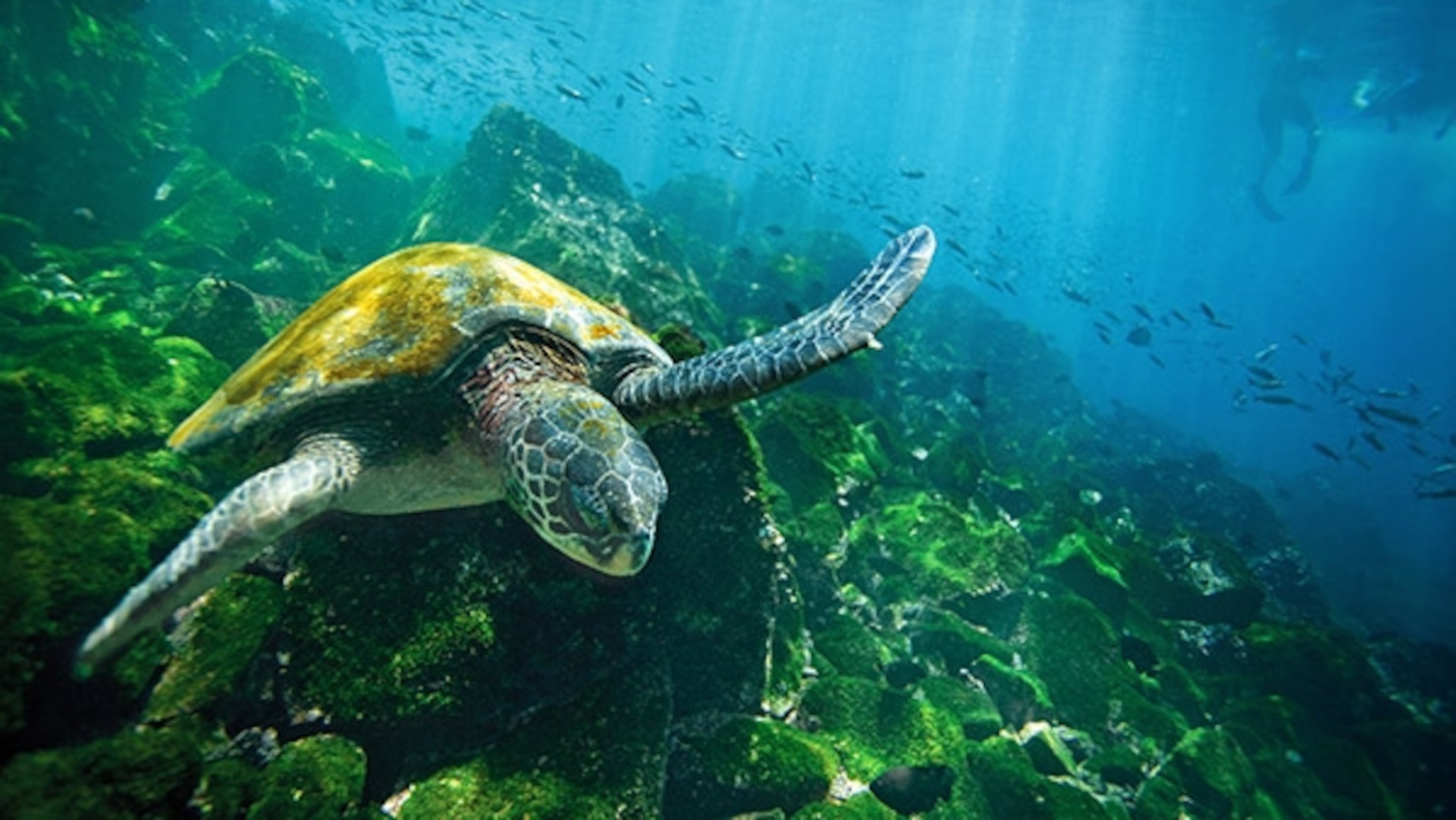 Galápagos Islands UNESCO World Heritage Site