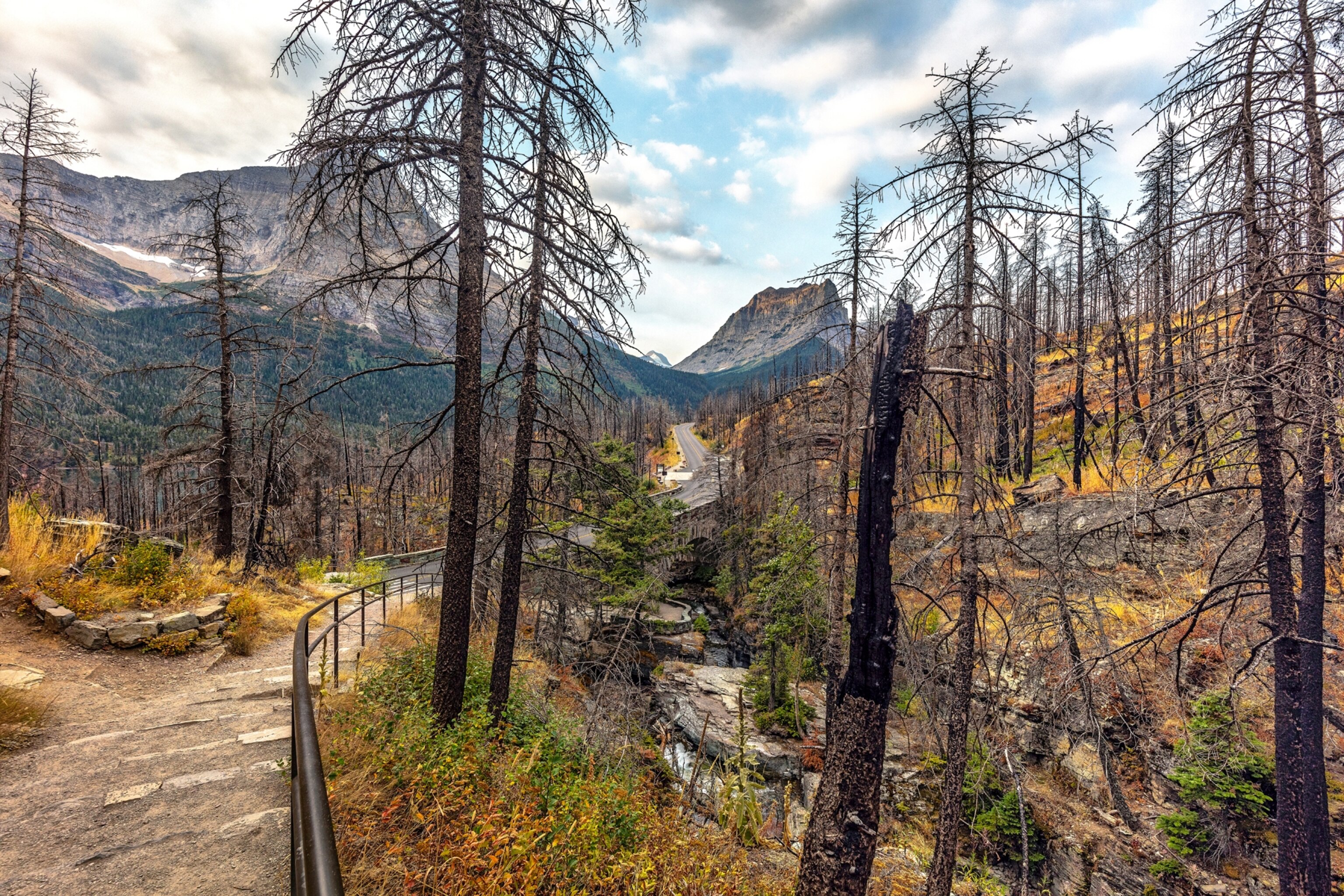 Wildfires show how climate change is transforming national parks