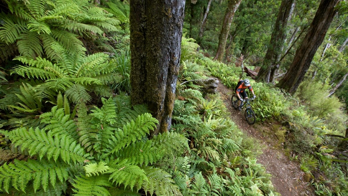 Ultimate Adventure Bucket List Mountain Bike New Zealand National