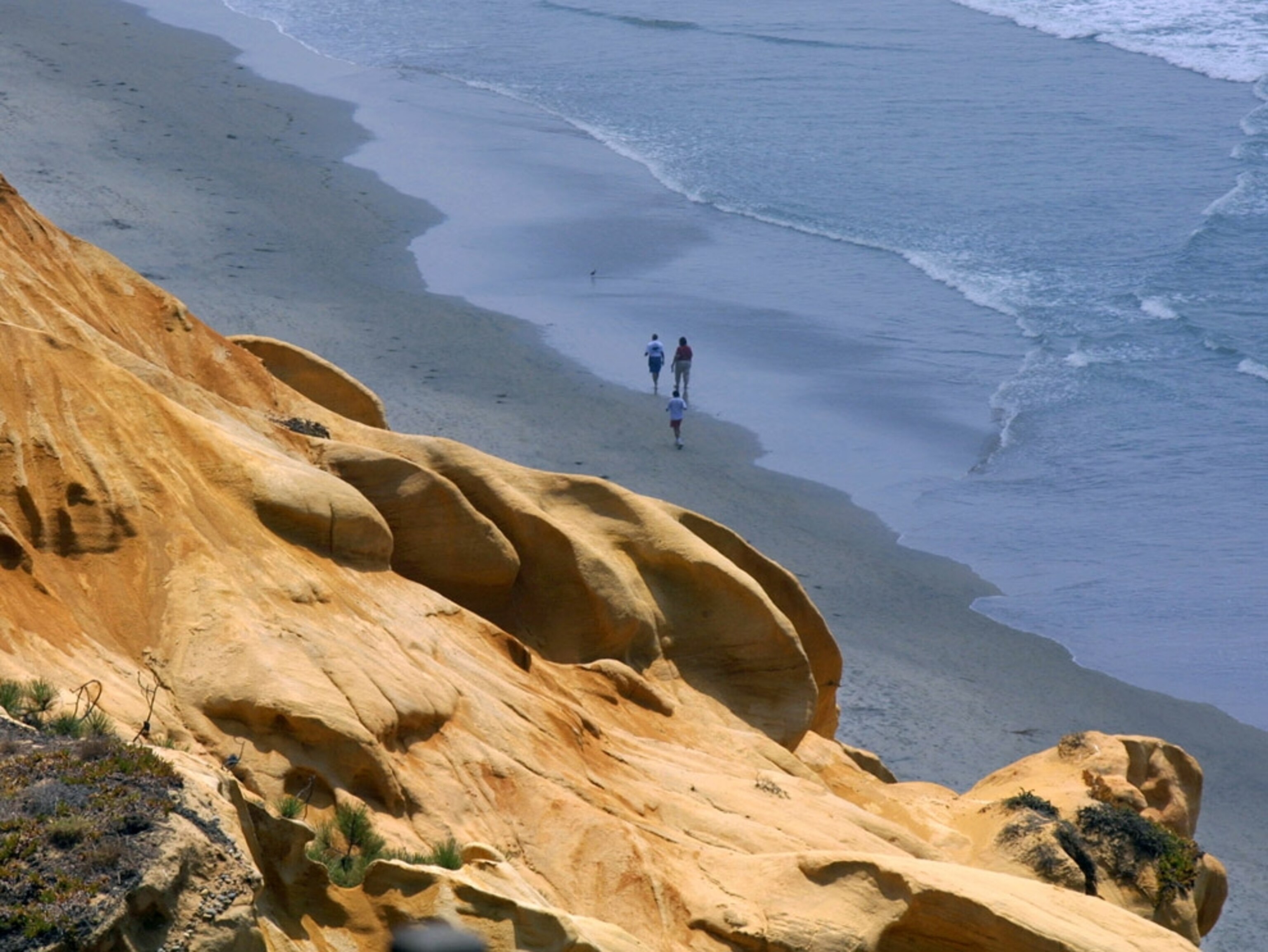 Torrey Pines State Reserve