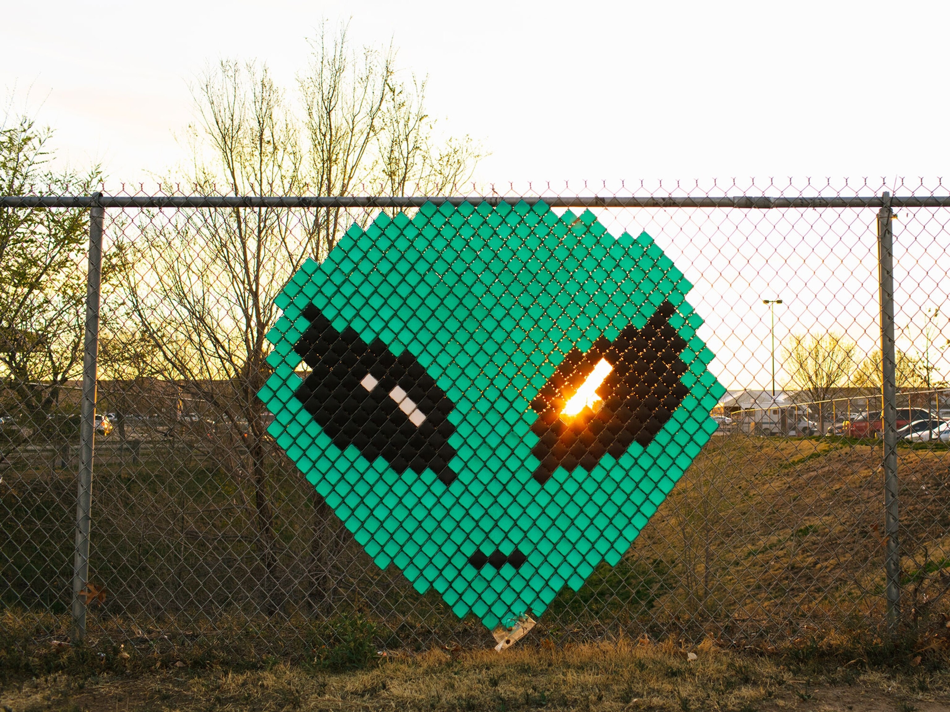 AREA 51 FACTS ALIENS visual data 6