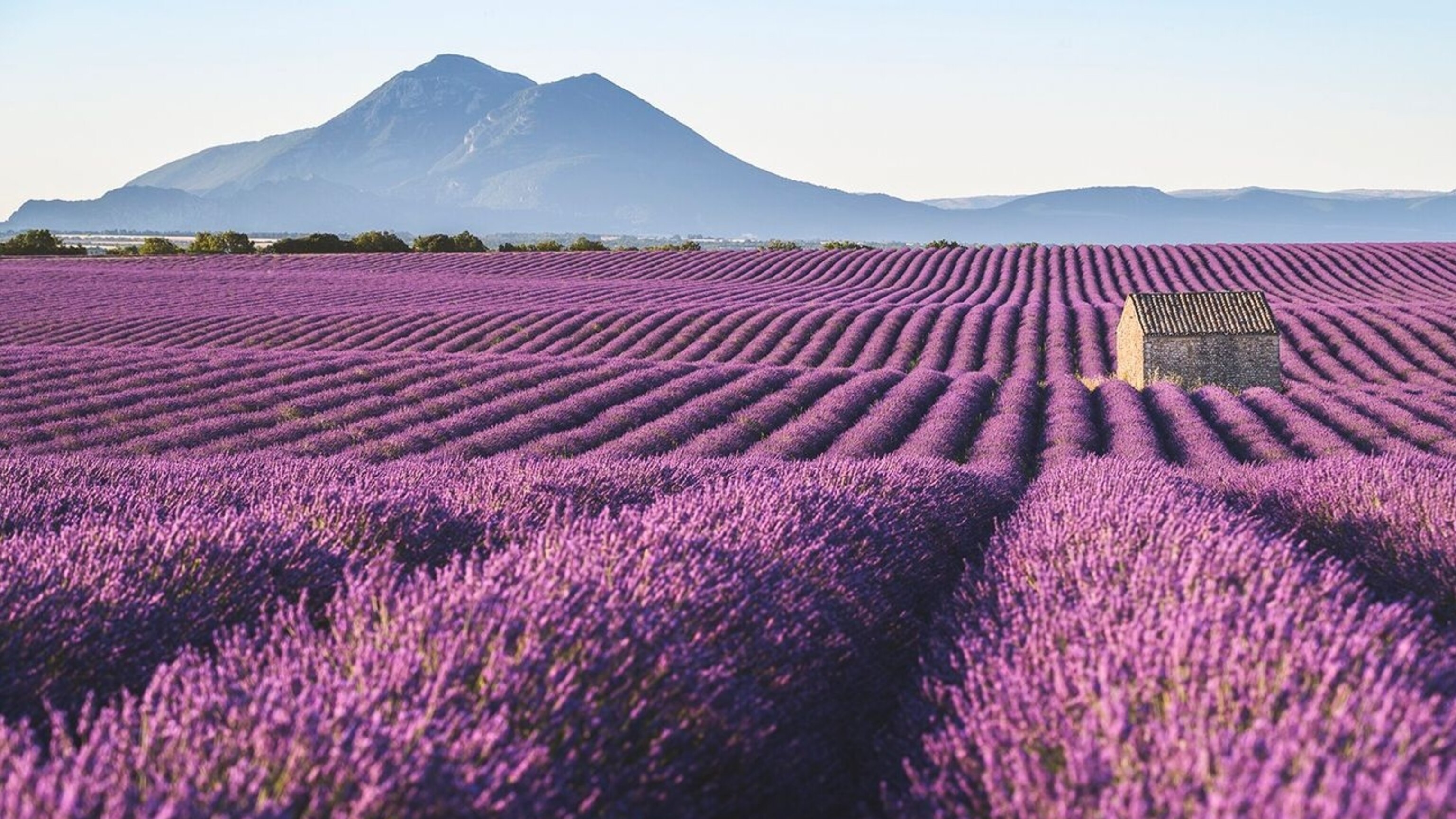 Where to travel in July - Vimarsana News