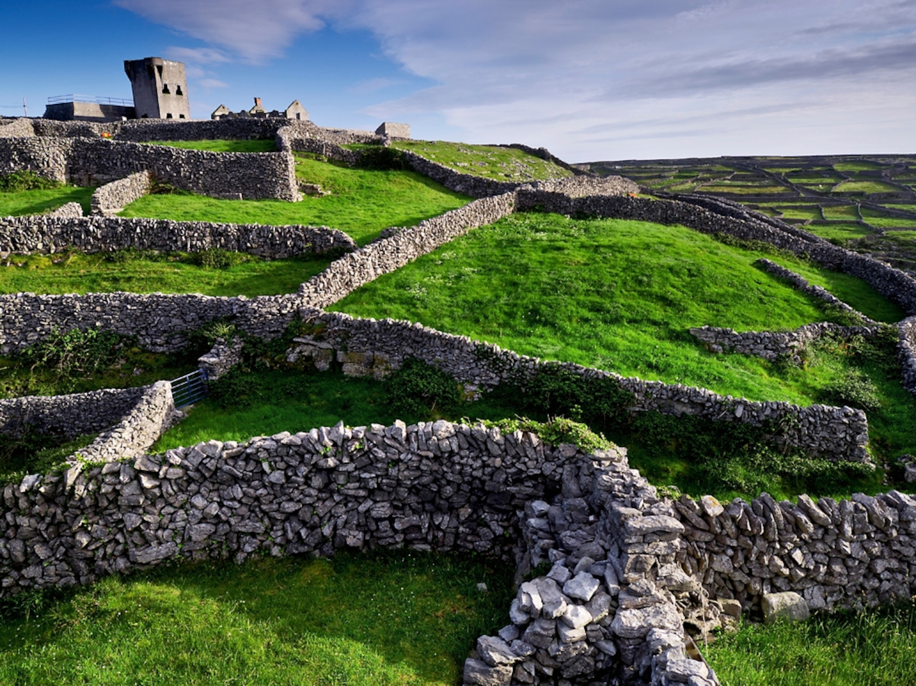 Castle O'Brien and ancient stonewalls, Inisheer, Ireland