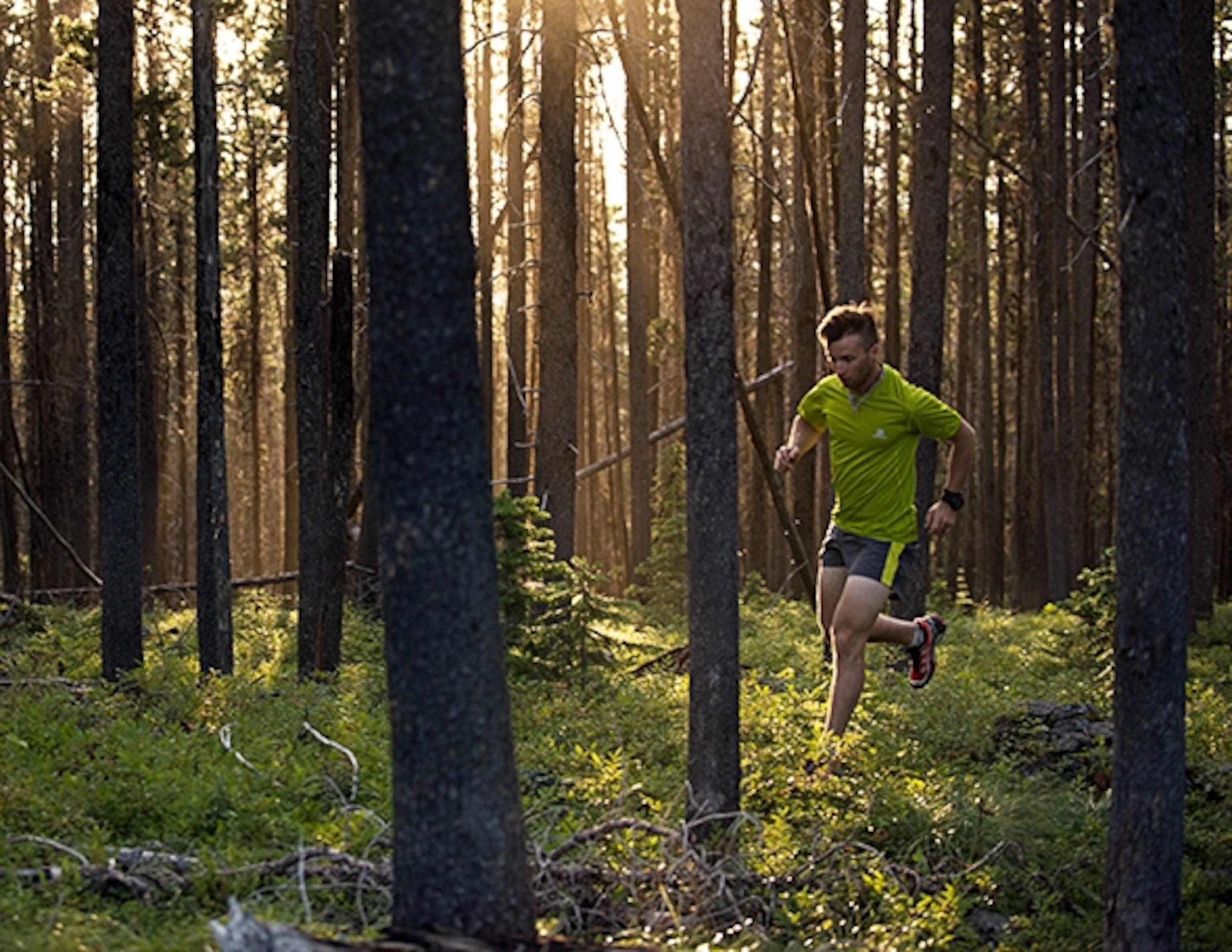 Brody Leven runs through fleeting light in trees near Black Tail Mountain, Montana; Photograph by Max Lowe