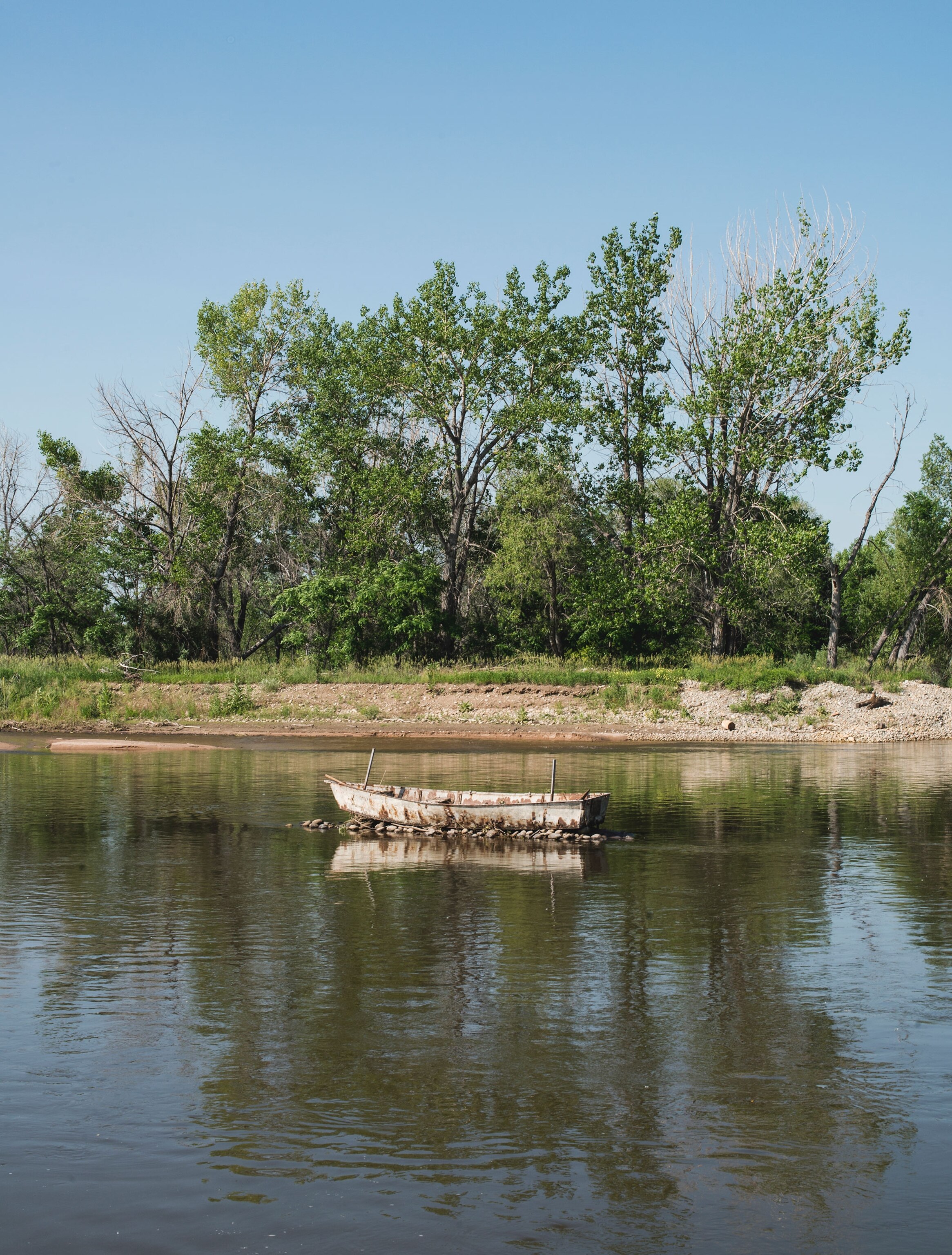 an old water pond that became a new channel for the St. Vrain River