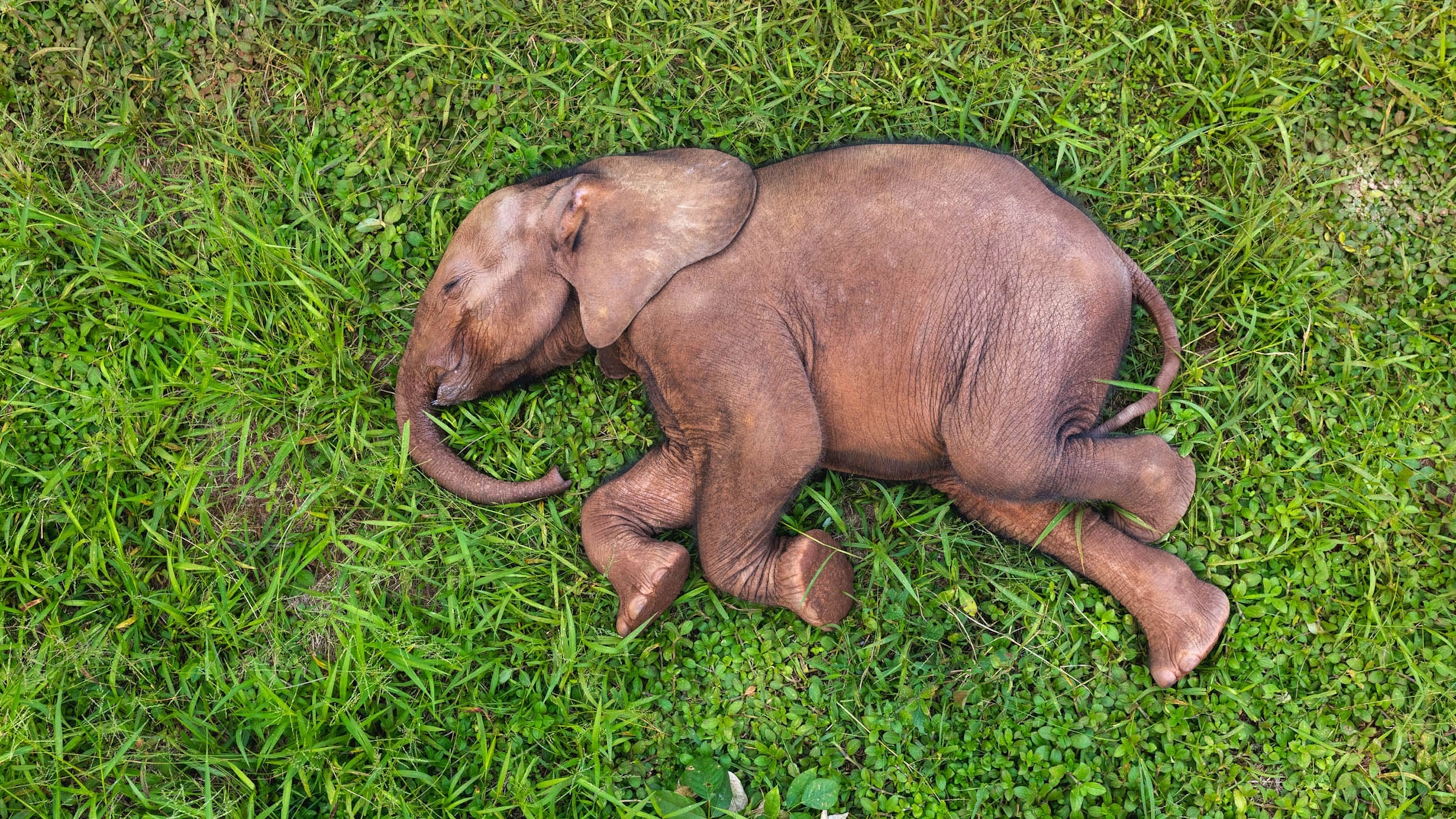 This Week @NatGeo | National Geographic