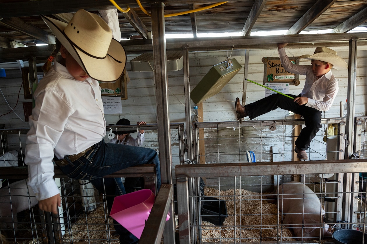 boys in cowboy hats playing along the fences of an indoor pig pen