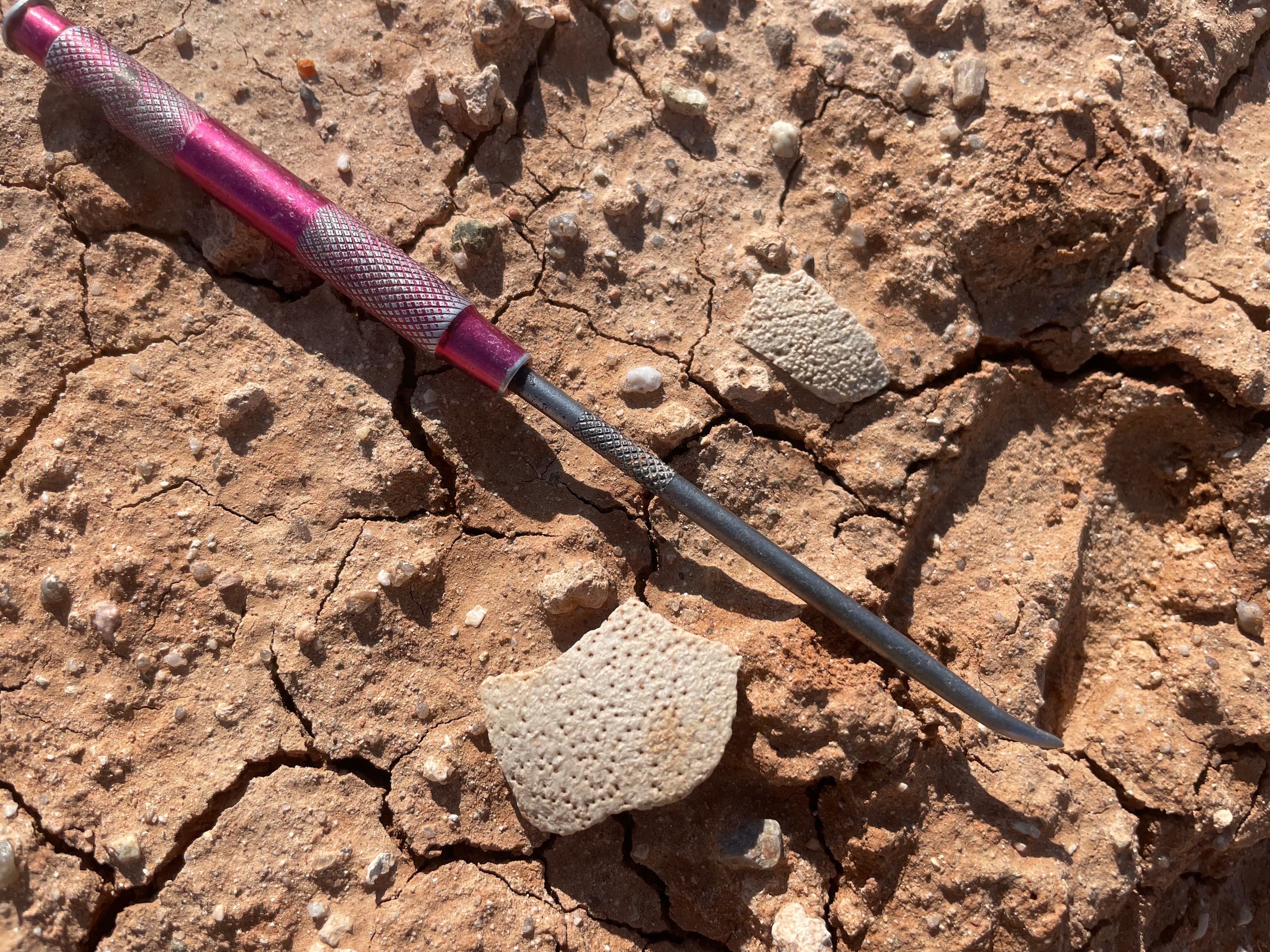 Exposed dinosaur eggshell fragments at Teel Ulaan Chaltsai, Eastern Gobi Basin. A new dating method could help paleontologists more accurately understand prehistoric ecosystems and timelines.