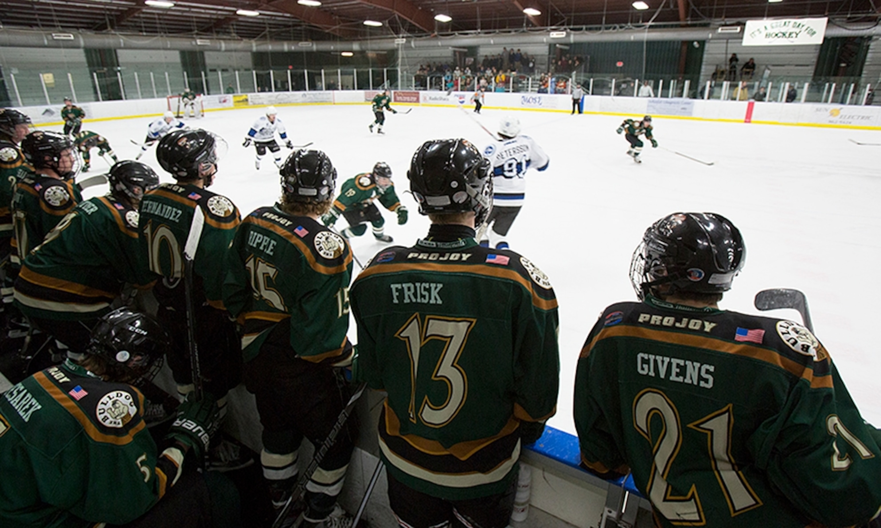 players watching an AWHL hockey game