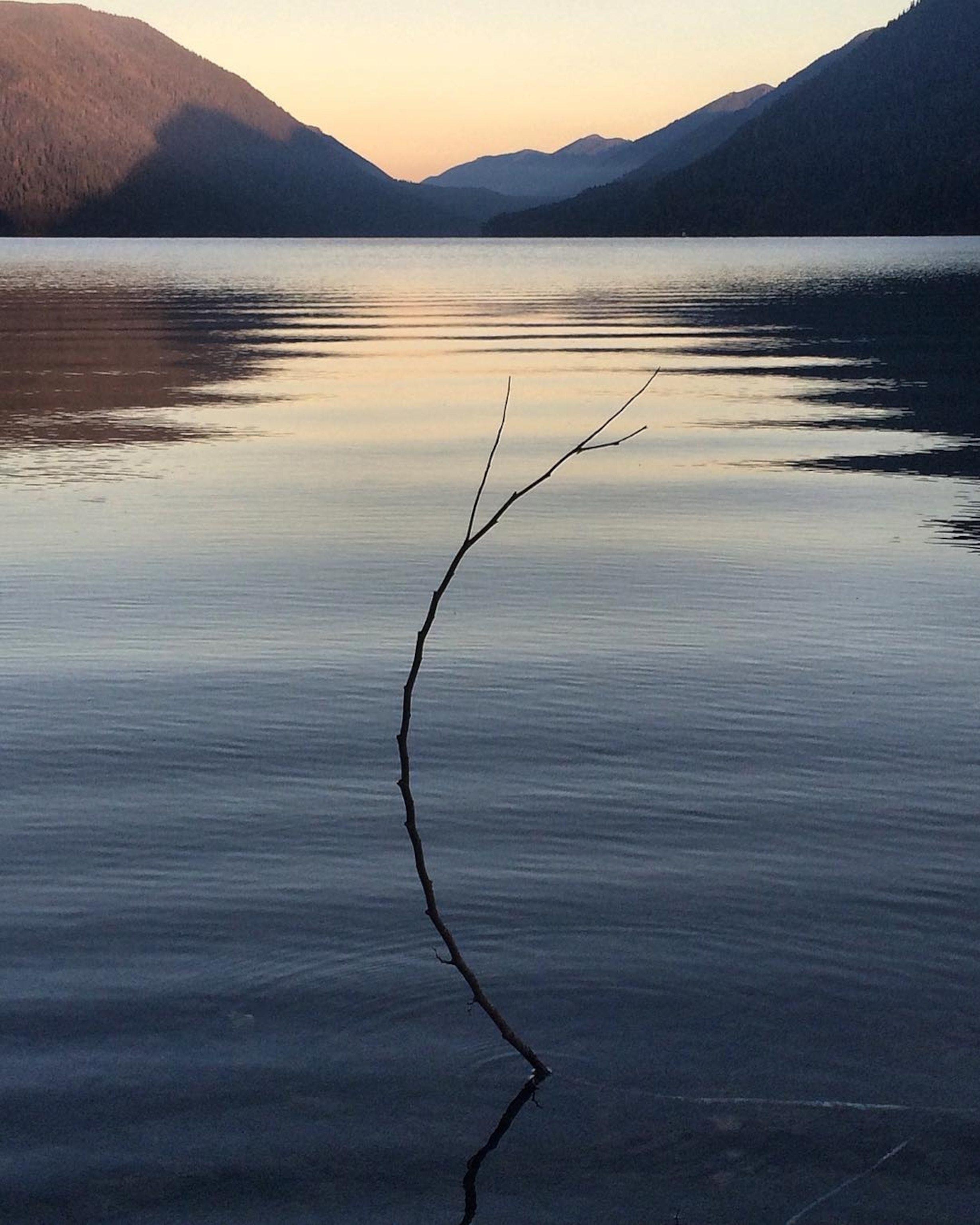 a lake in Olympic National Park