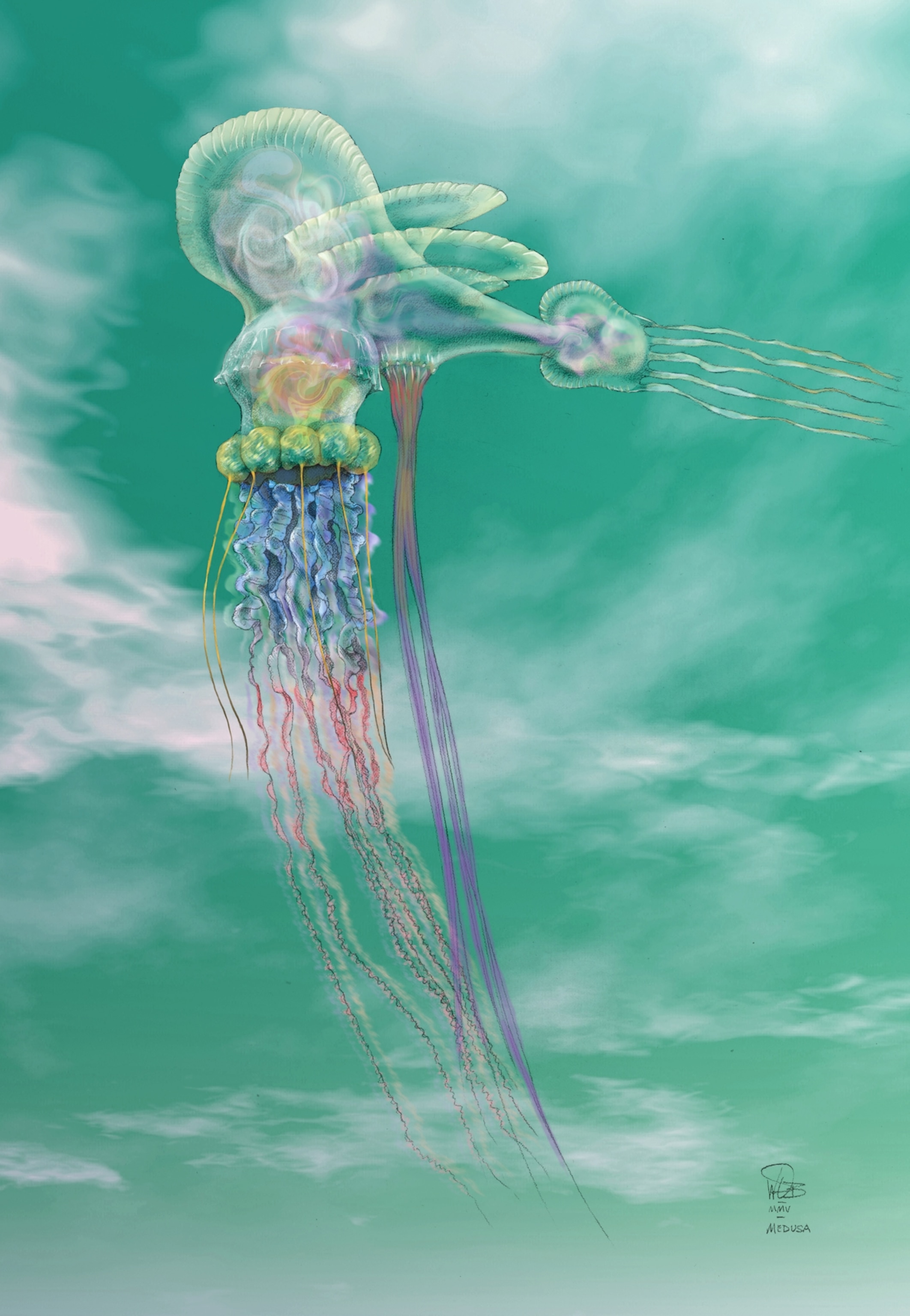 A colorful shows a gelatinous creature with long tendrils extending from its body.