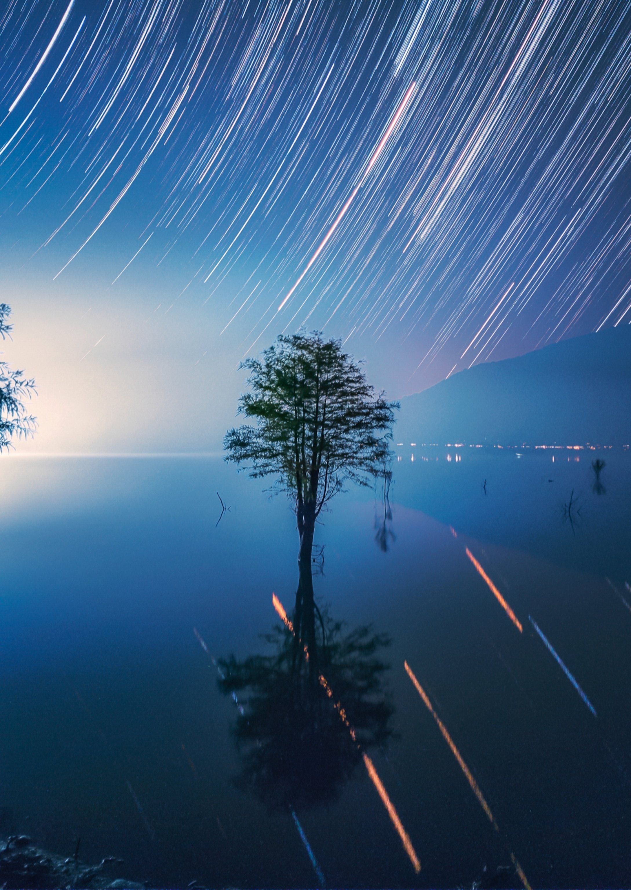 Star trails arcing across a night sky, reflecting in a solitary tree in a calm lake