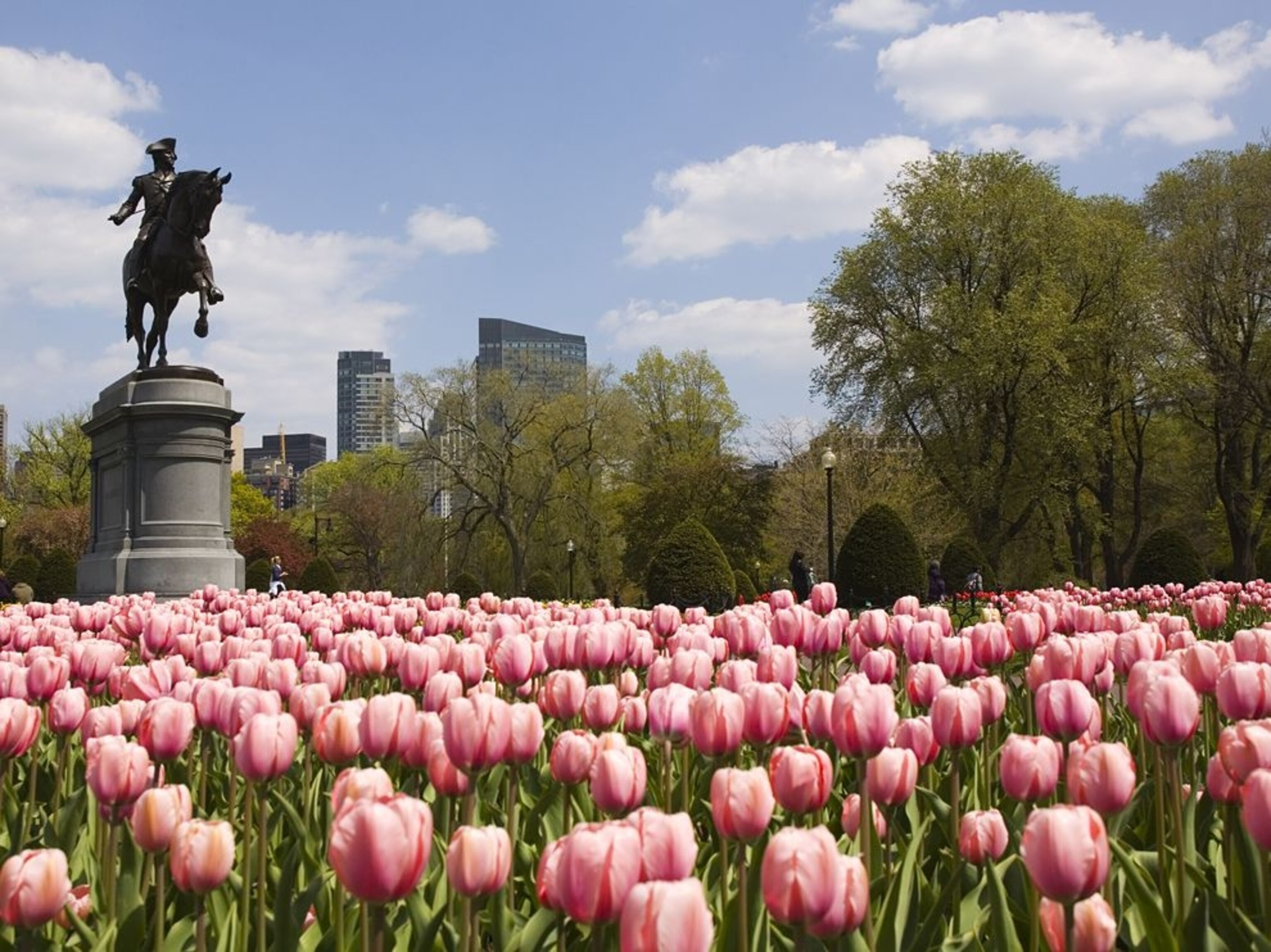 a George Washington Statue at Boston Public Garden, Massachusetts, USA