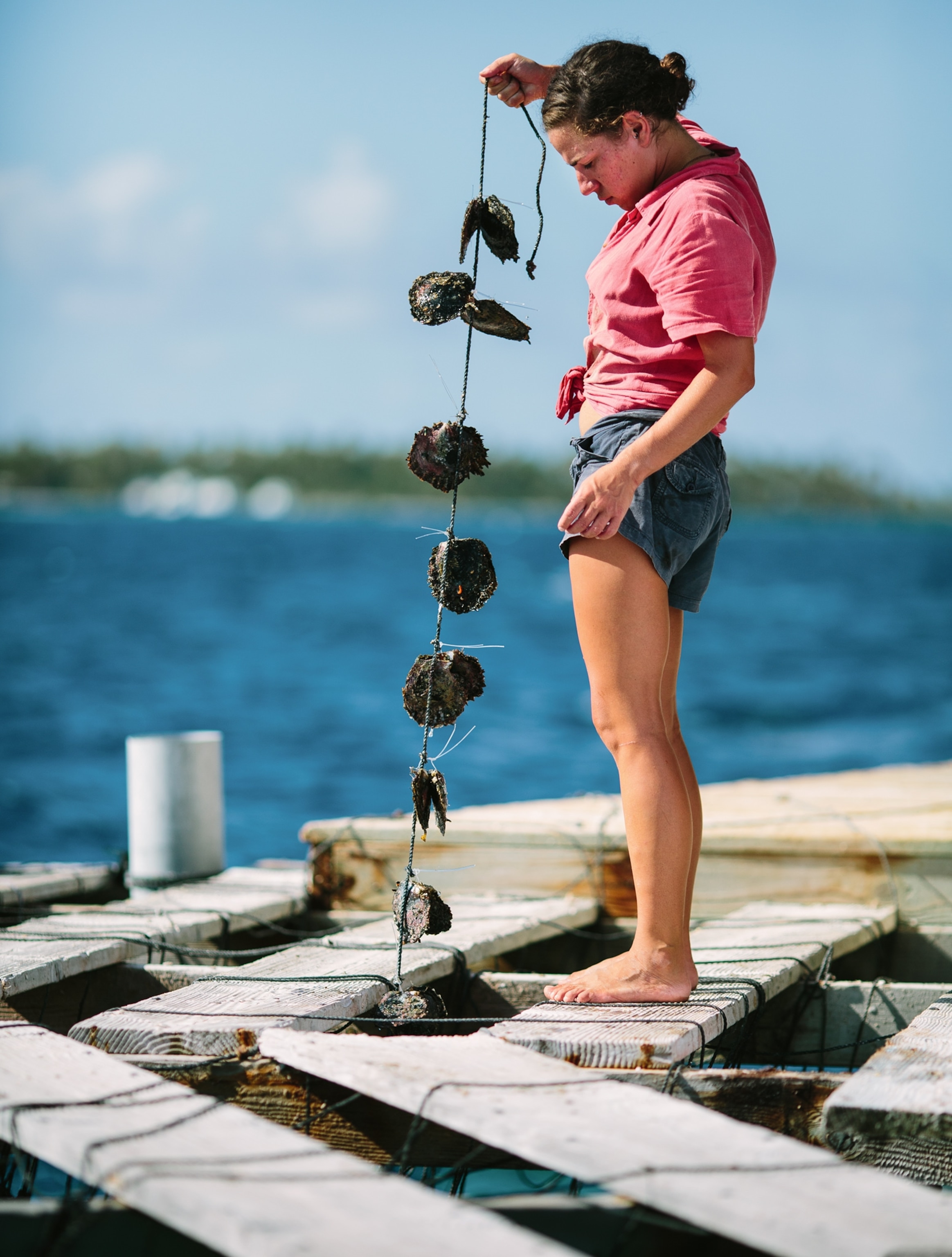 Pearl Farming - Picture of Madison Rose Whitman dropping a string of oysters into the water at Kamoka Pearl