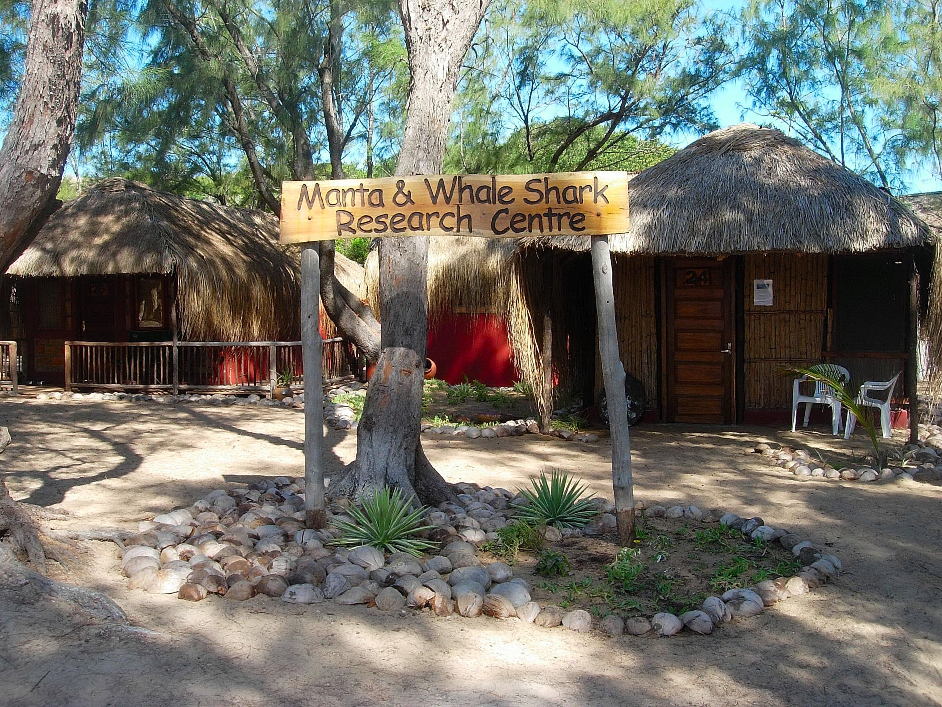 the Mozambique Manta and Shark Research Center