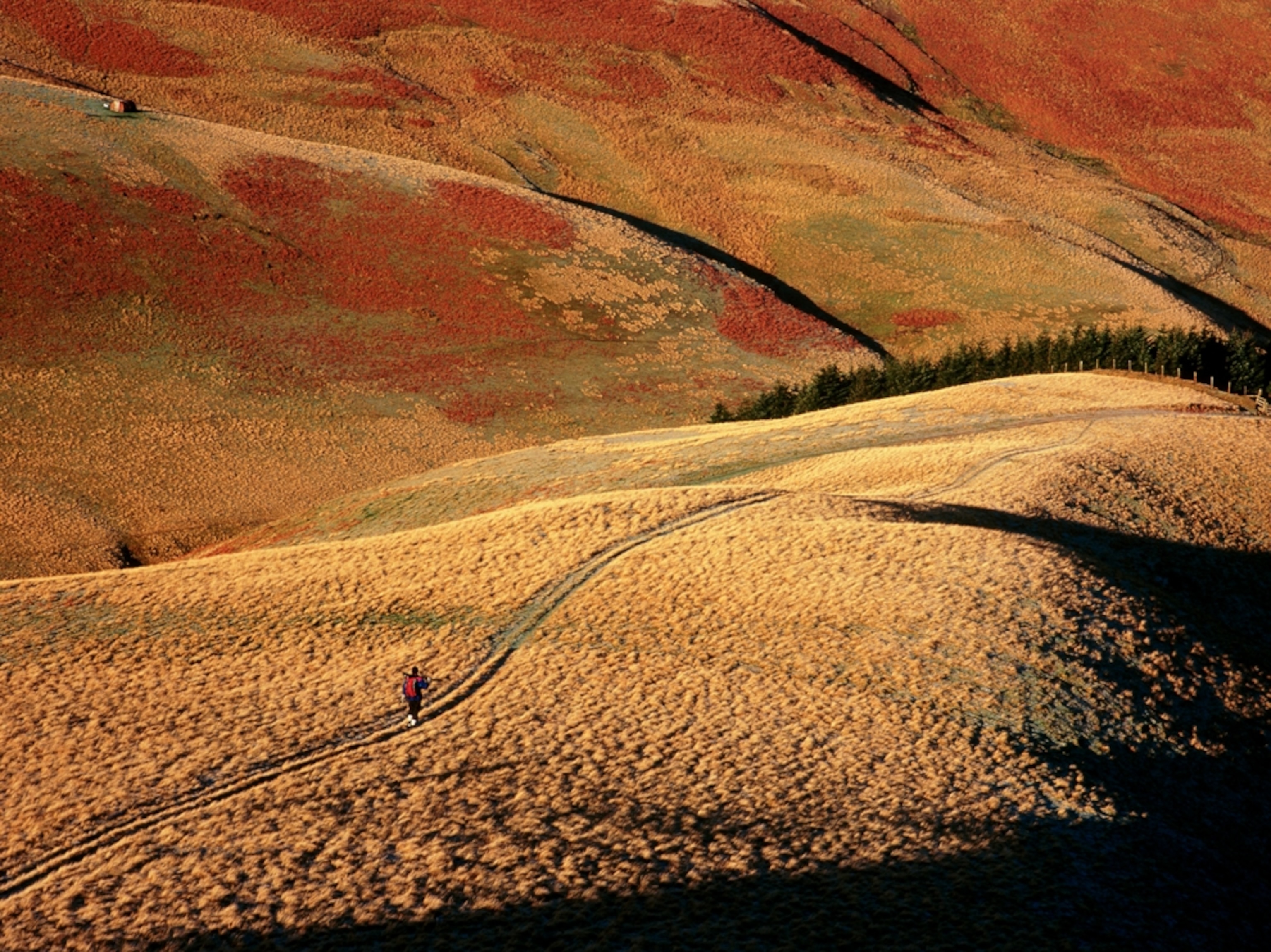 A walker in Exmoor National Park