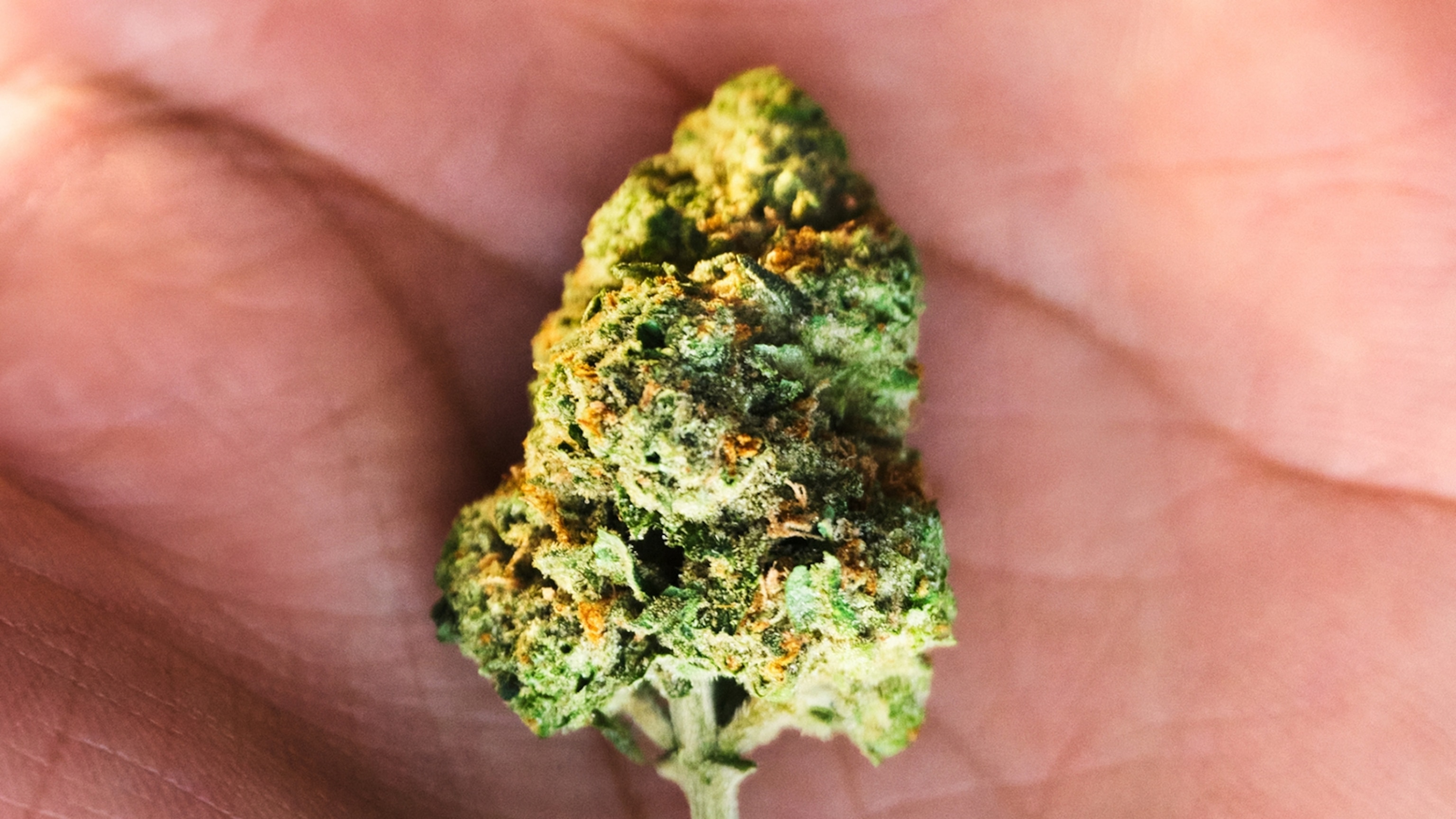This rare health disorder is on the rise in cannabis users