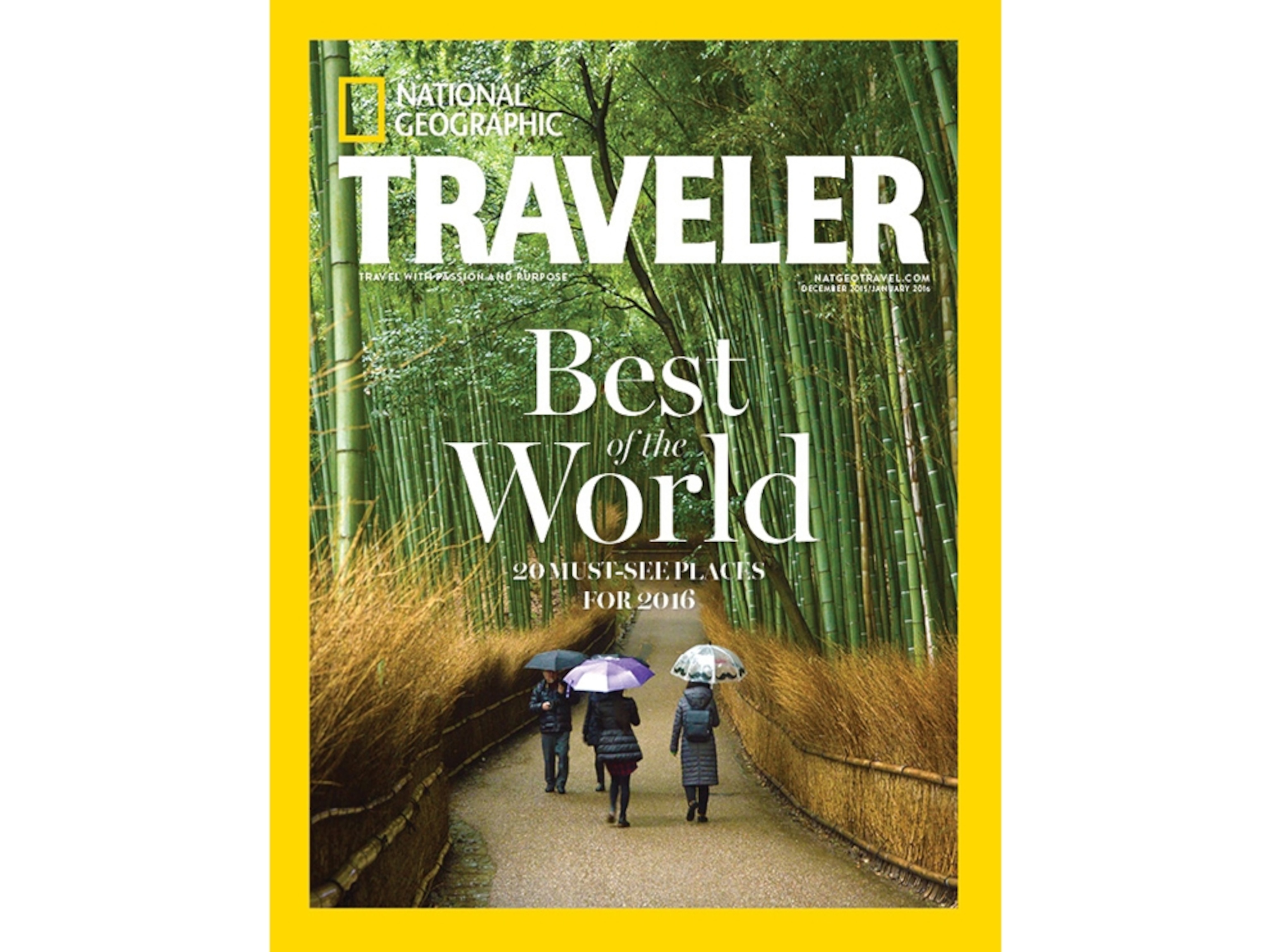 visitors at the Arashiyama Bamboo Grove in Kyoto, Japan