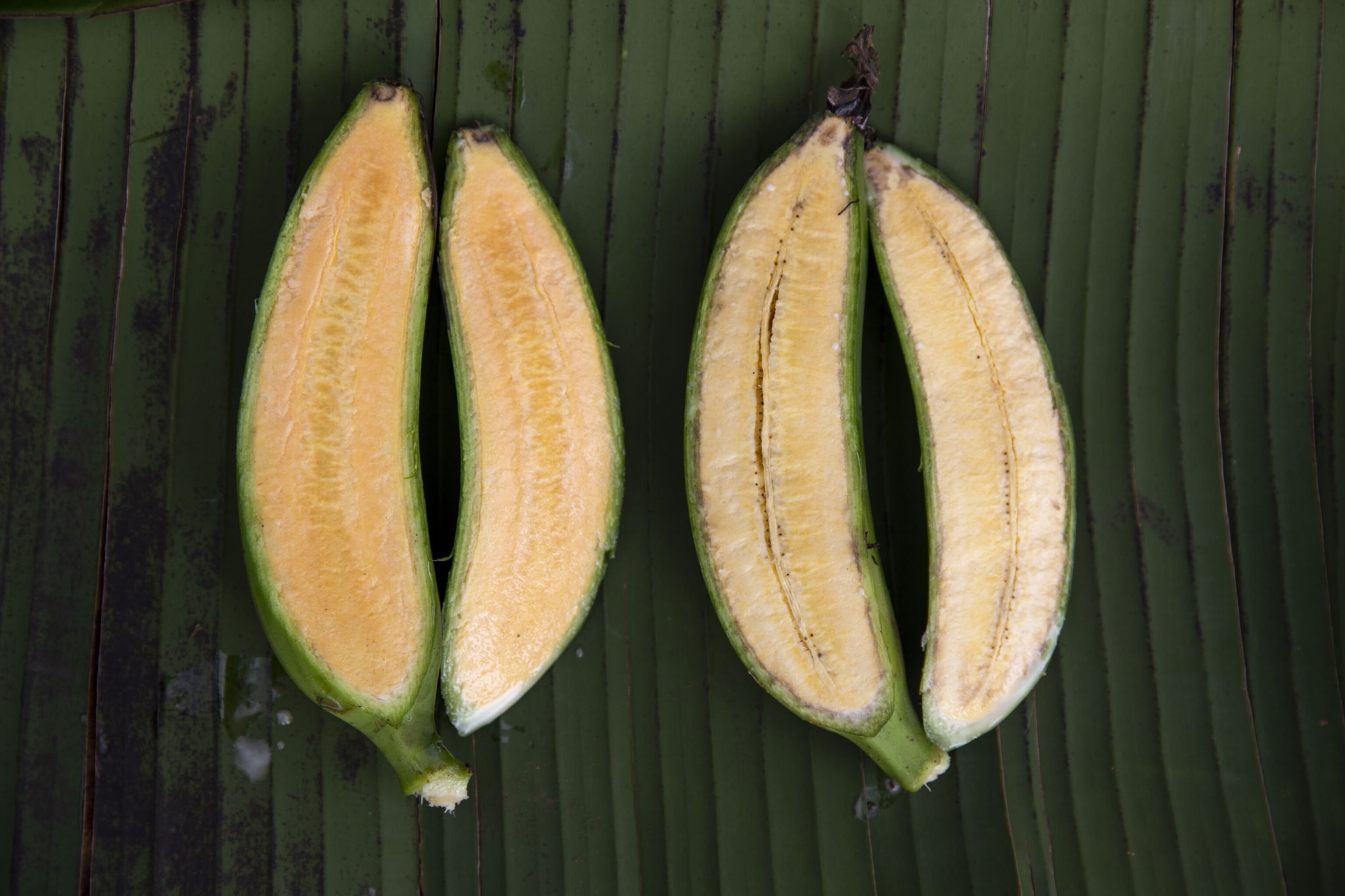 two bananas cut open to reveal the differences between a regular banana and one with added vitamin a