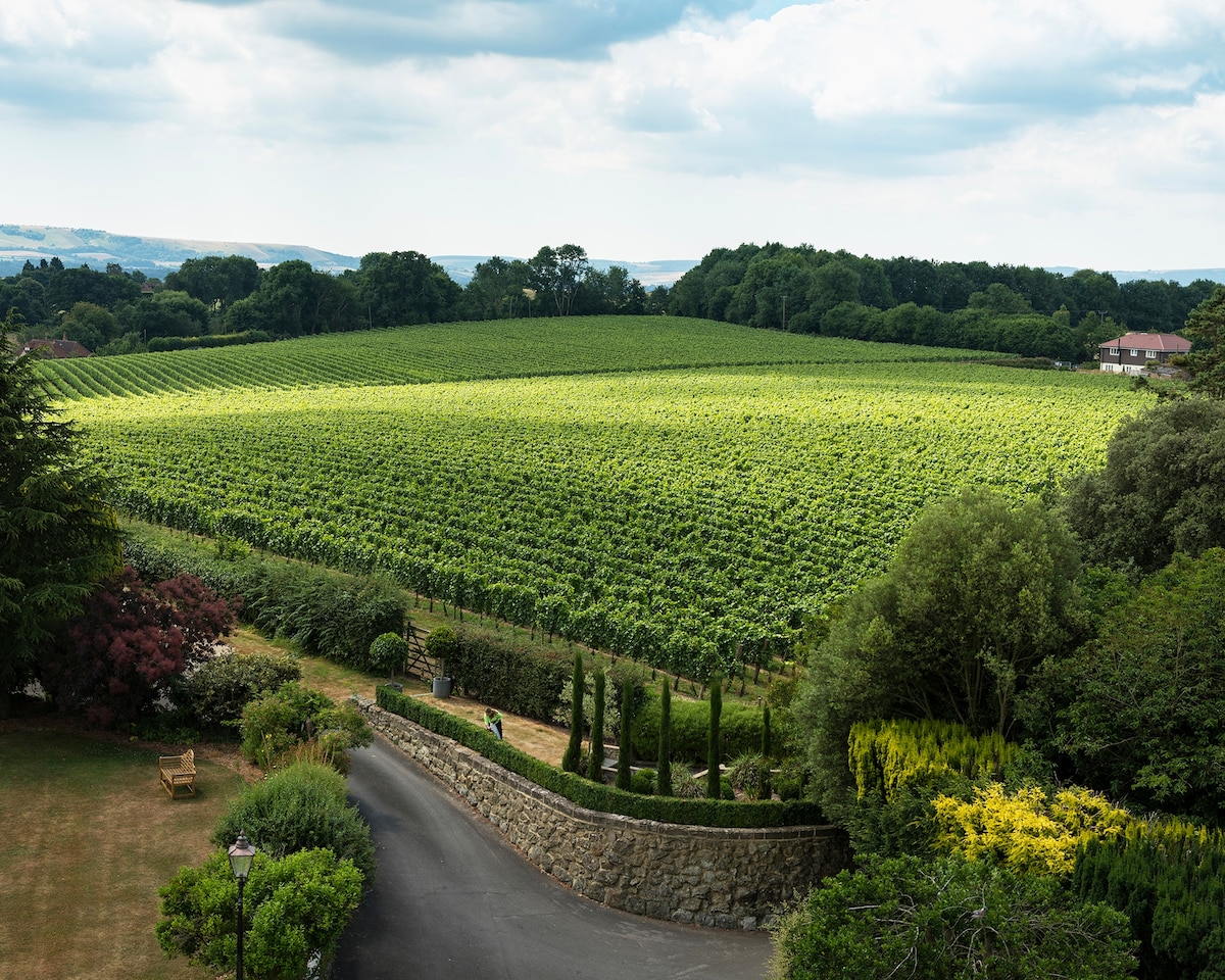 Discover the sparkling wine from England that tastes like champagne