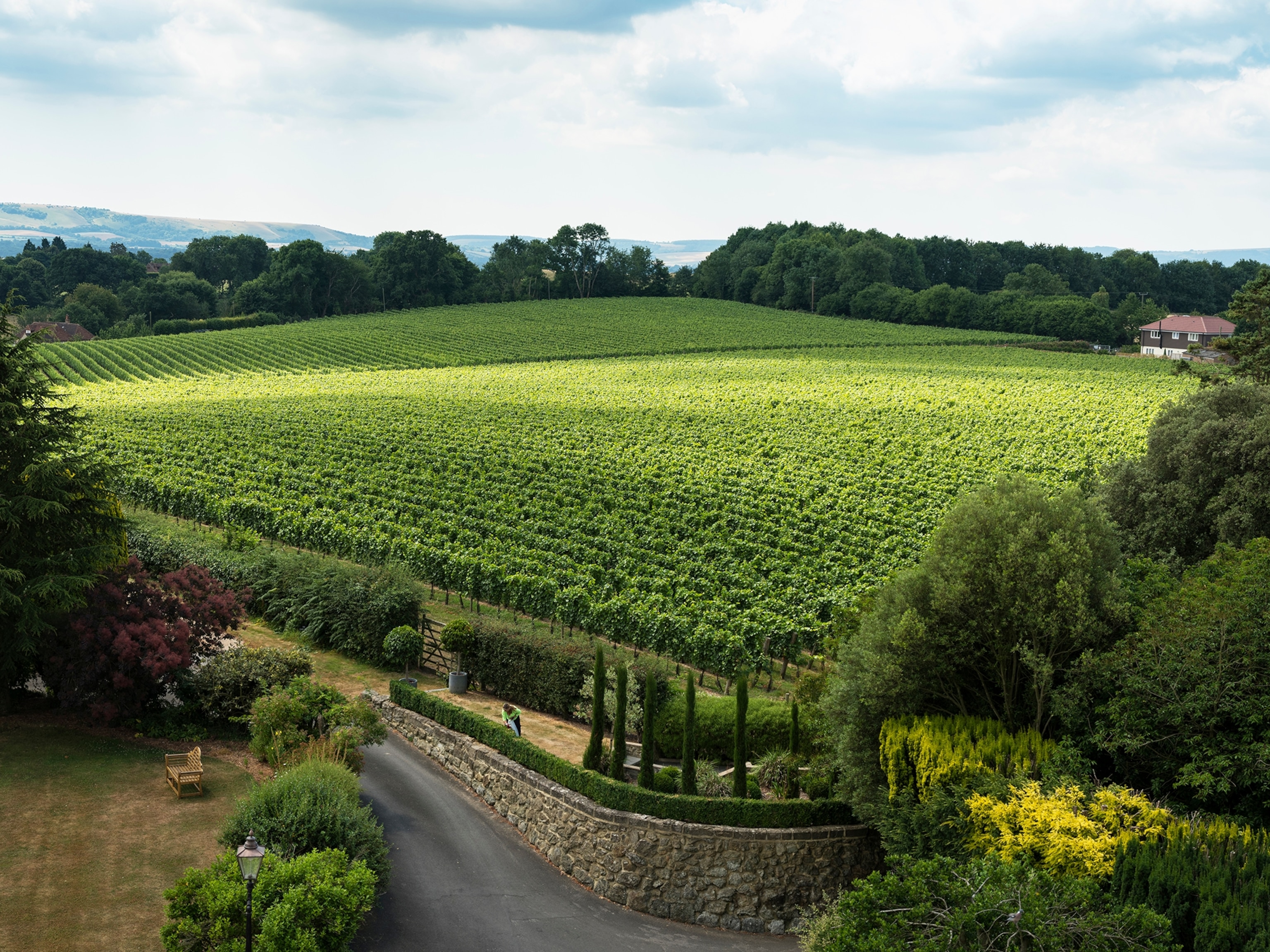 Discover the sparkling wine from England that tastes like champagne