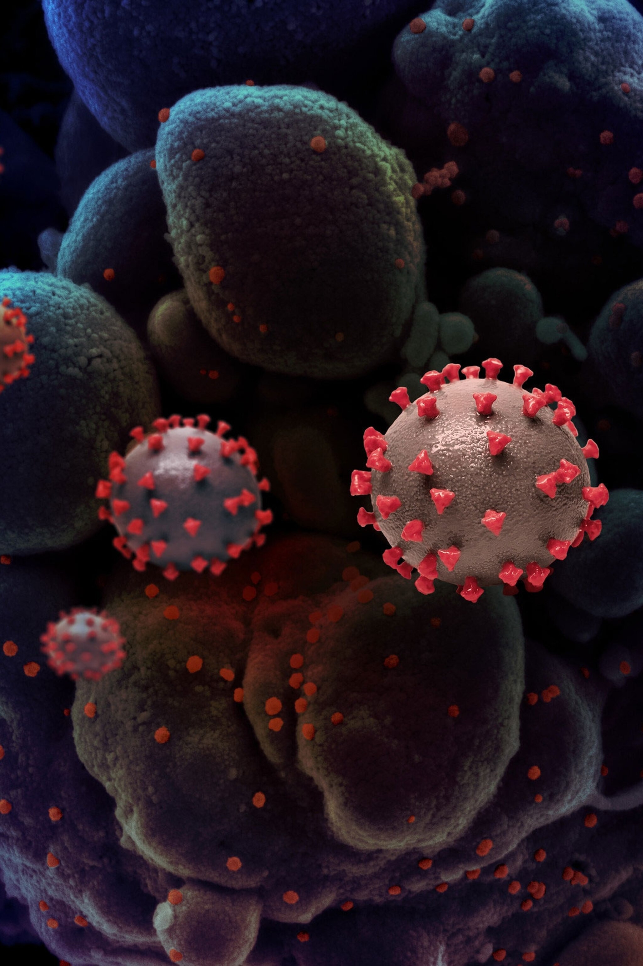 We Still Don T Know The Origins Of The Coronavirus Here Are 4 Scenarios