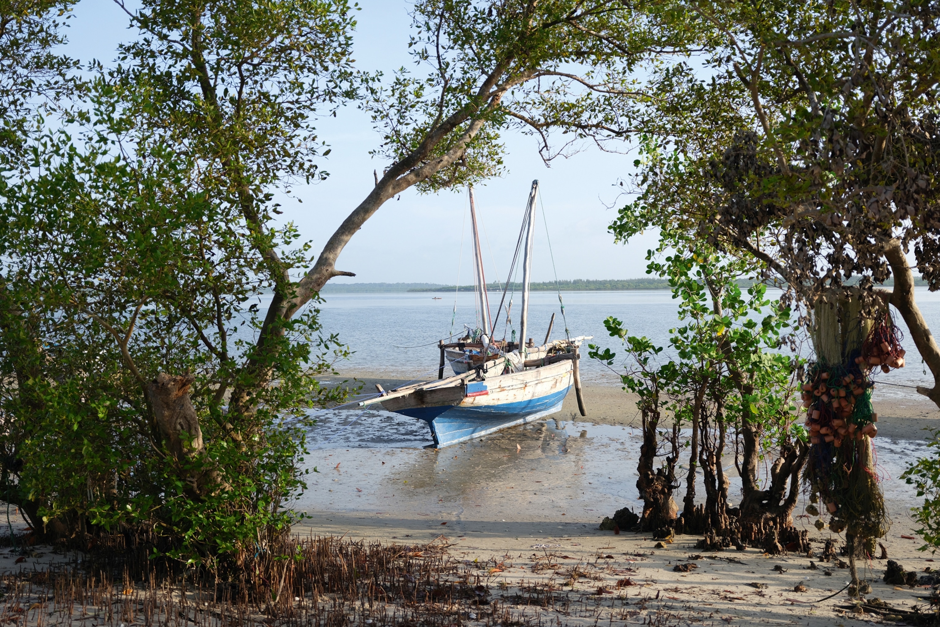 A beach with trees overhanging into the ocean and a boat moored on sand.