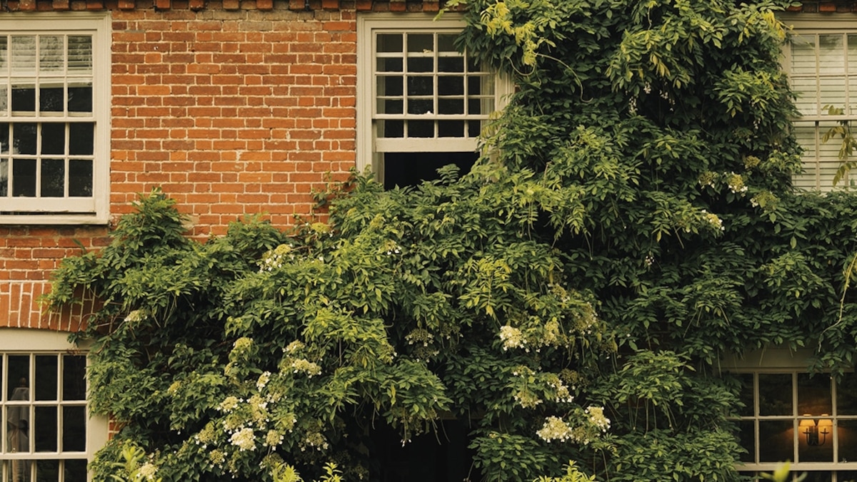 Why Farm Hotels are Trending in the U.K. and Should You Try One