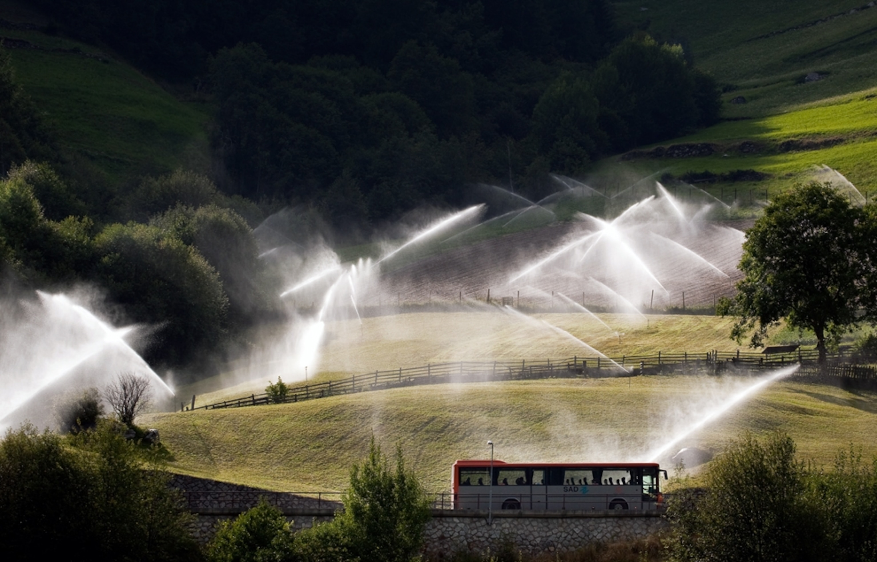 Bus facing on a strawberry tree cultivation in Val Venosta, nothen Italy